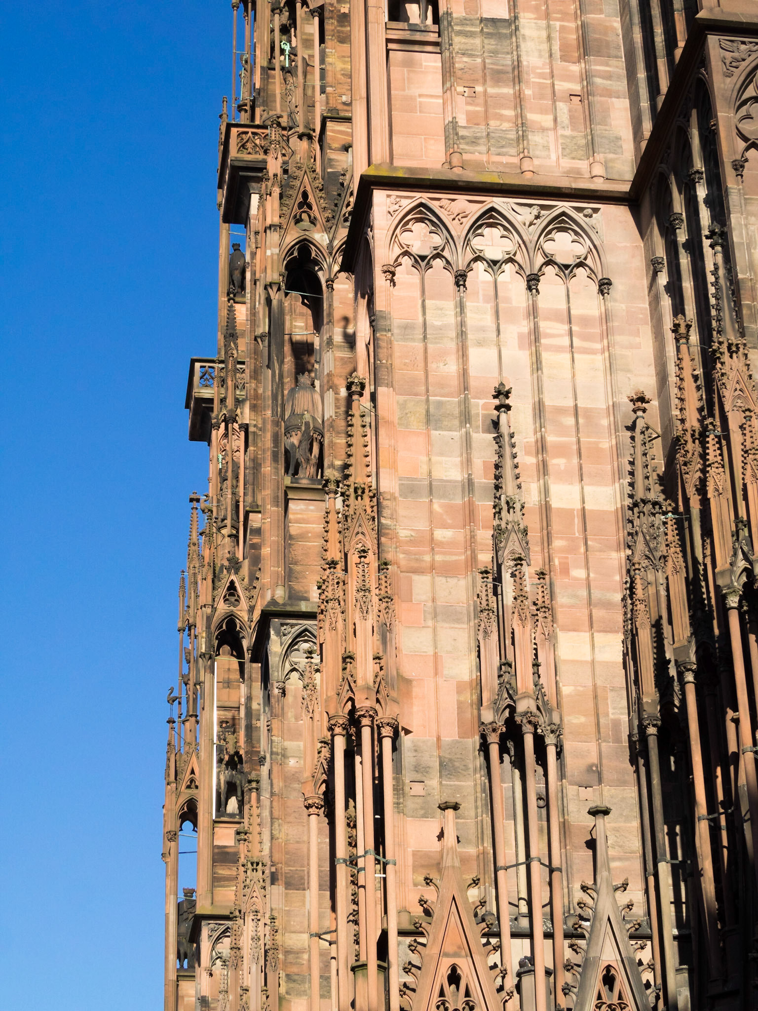 Strasbourg Cathedral south facade detail