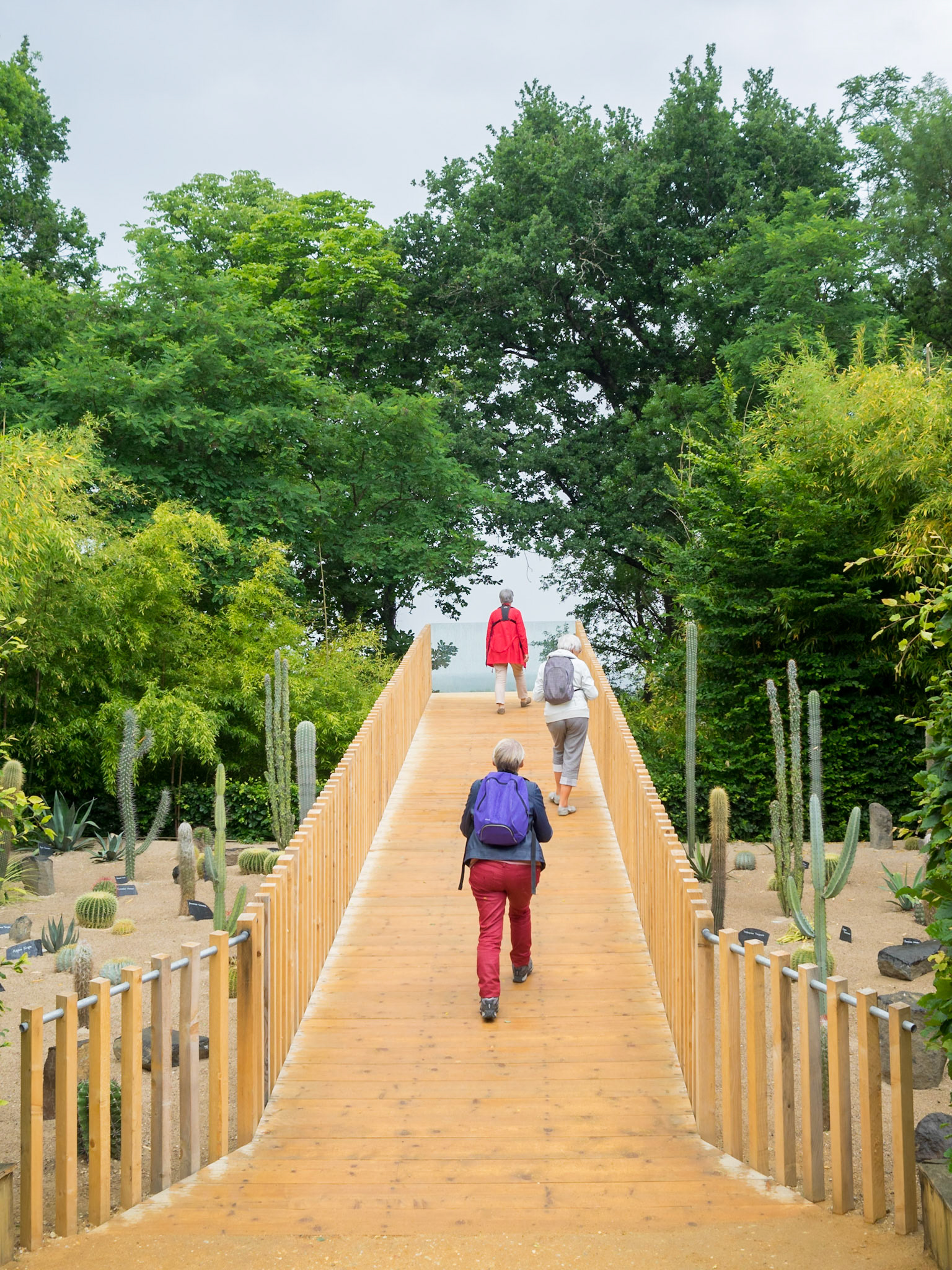 People walking in the Cactus garden of the 2015 International Garden Festival 2015 at the Domain of Chaumont-sur-Loire