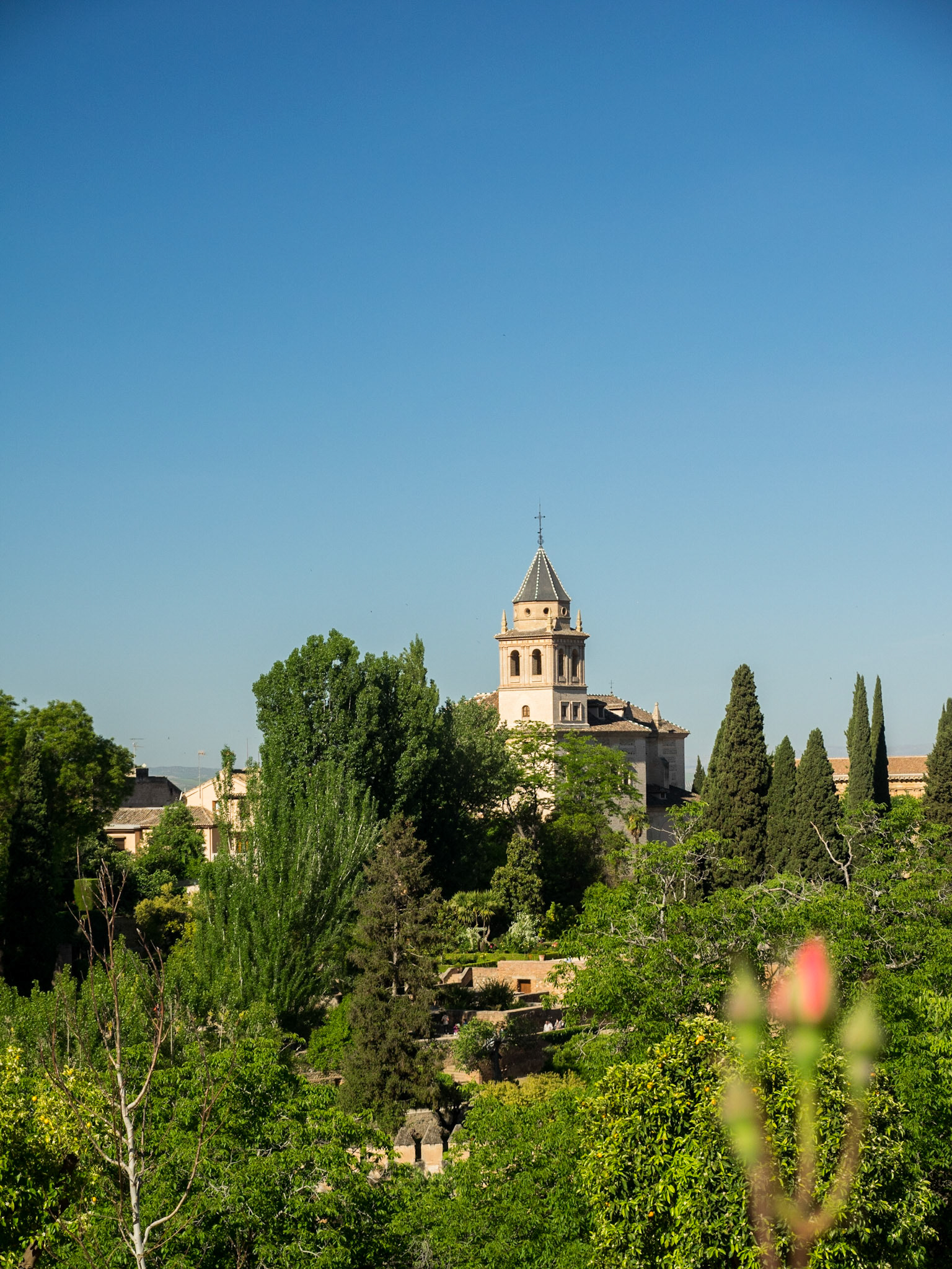 Lower Generalife gardens