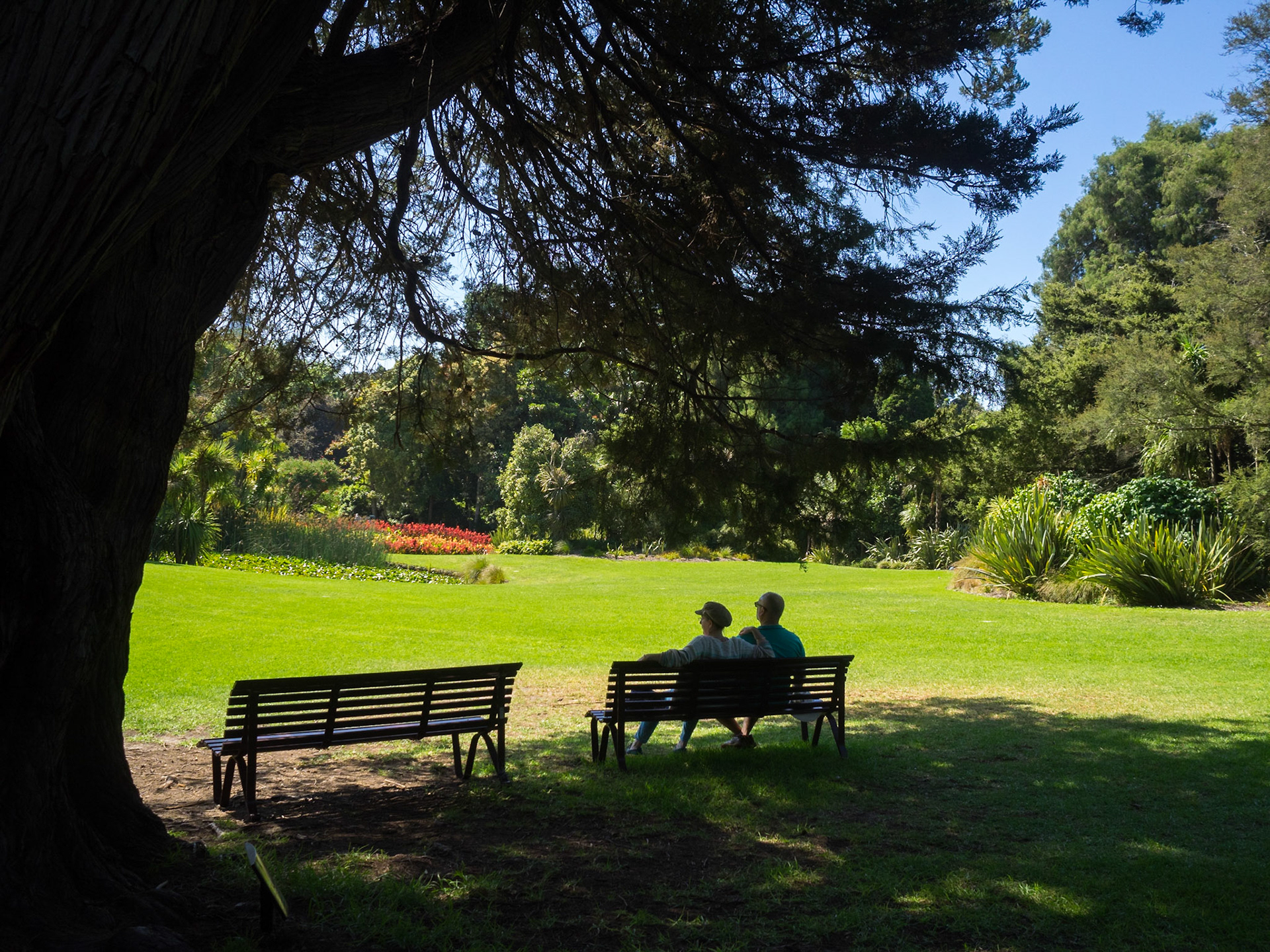 A couple enjoying Melbourne's Royal Botanic Gardens