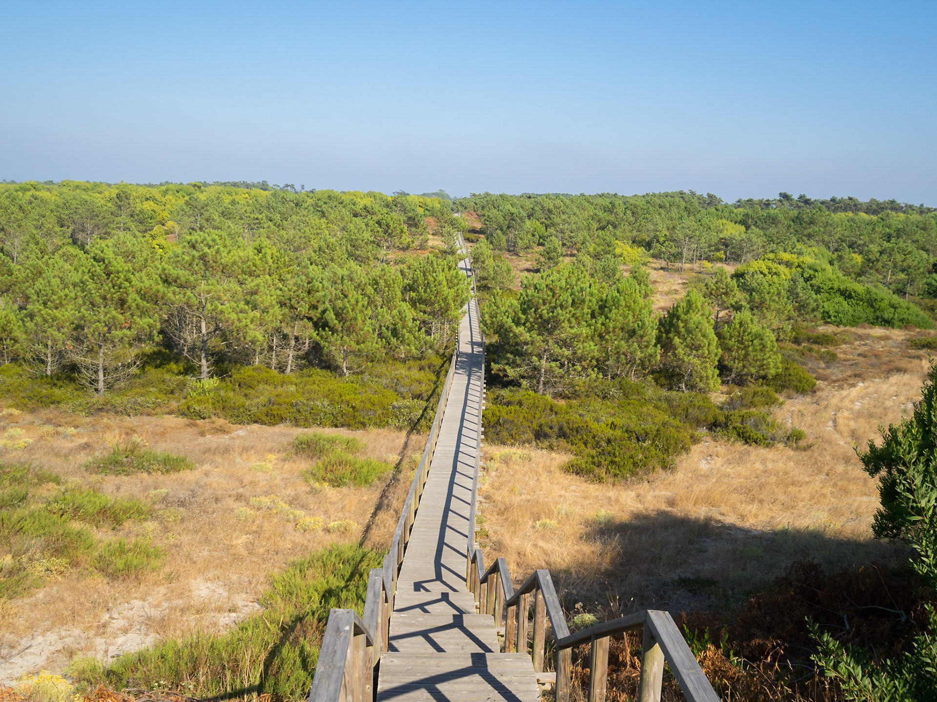 São Jacinto Dunes Nature Park
