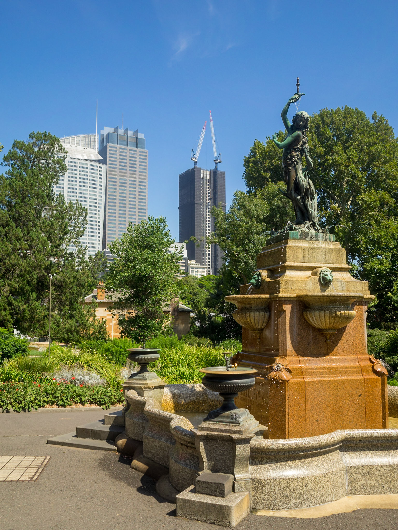 Sydney's Royal Botanic Gardens and the CBD skyscrapers