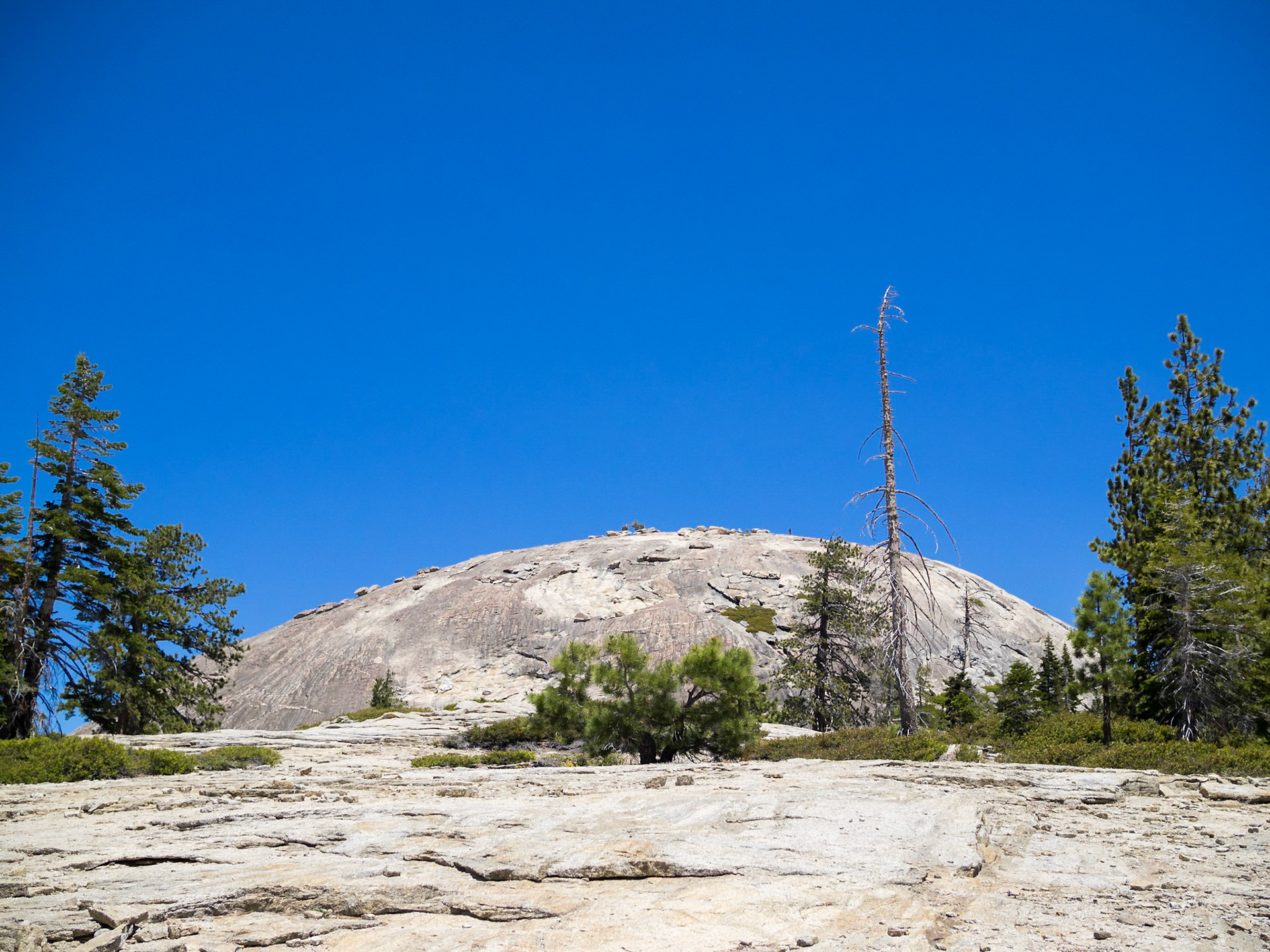 Sentinel Dome