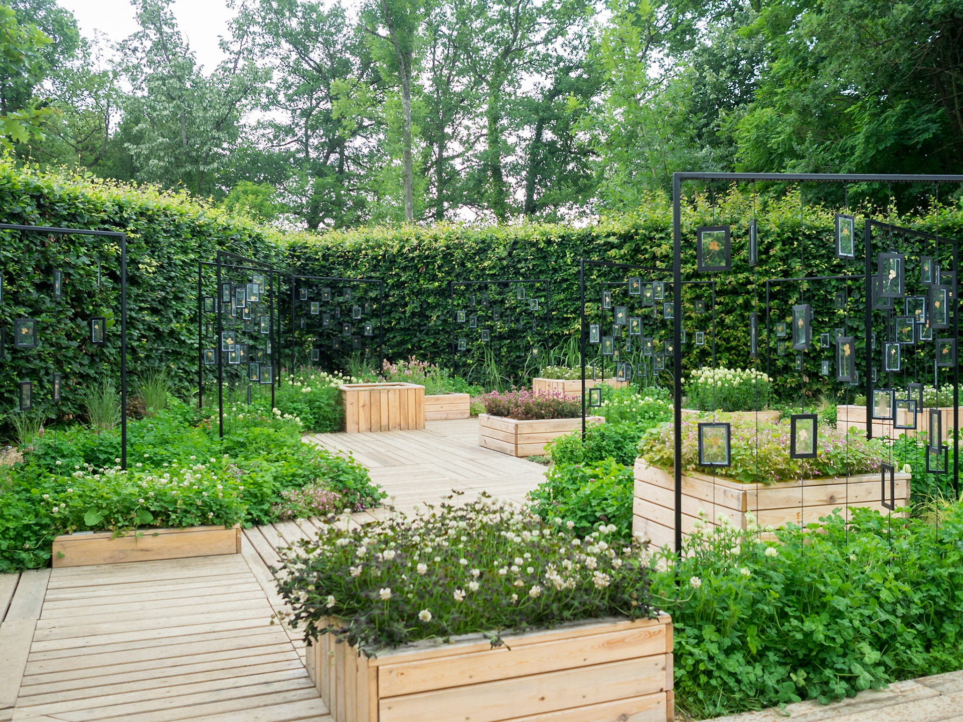 Framed plants installation at the International Garden Festival 2015 at Domain of Chaumont-sur-Loire