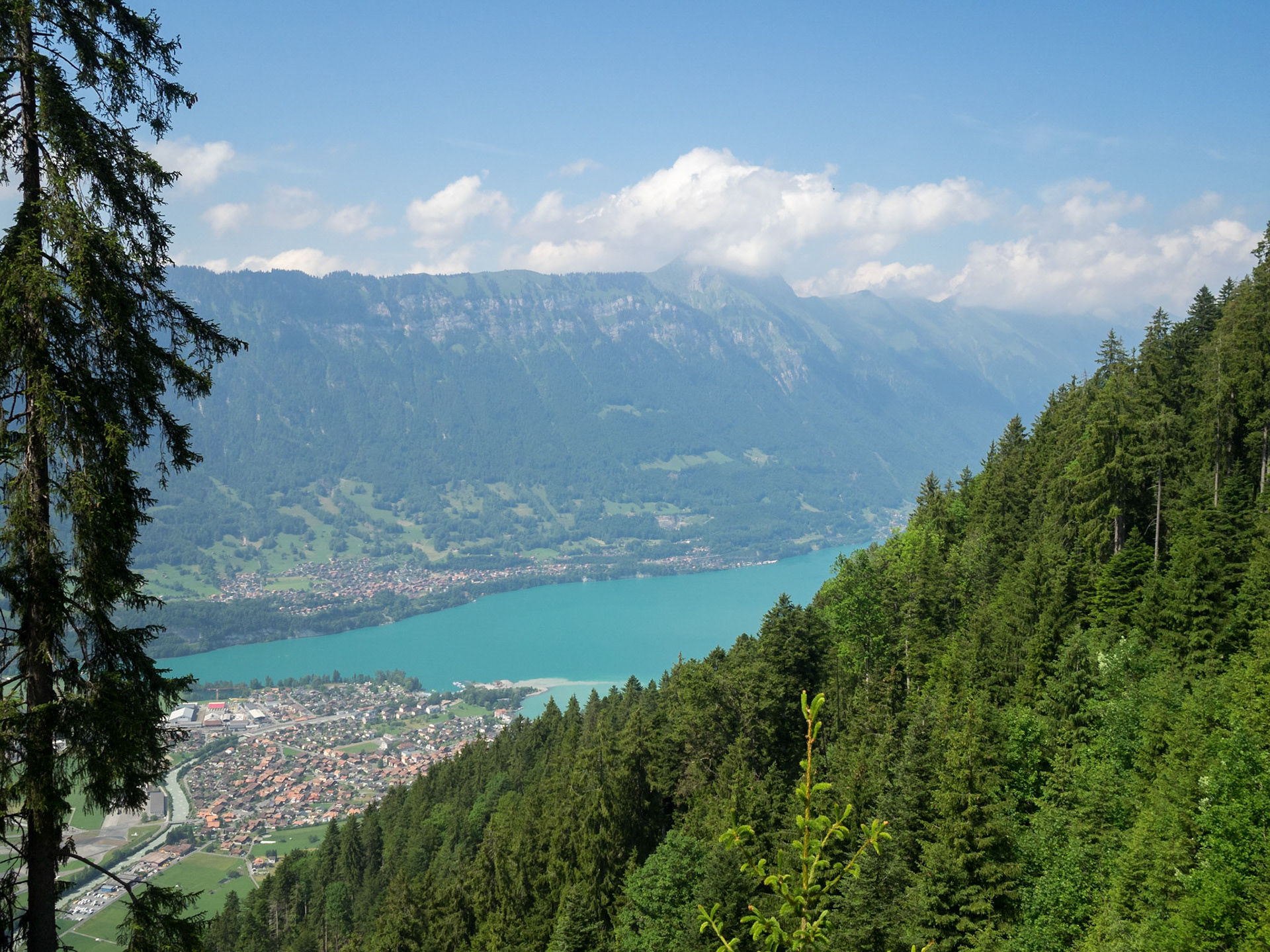 Lake Brienz and Interlaken seen from the Schynige Platte Railway