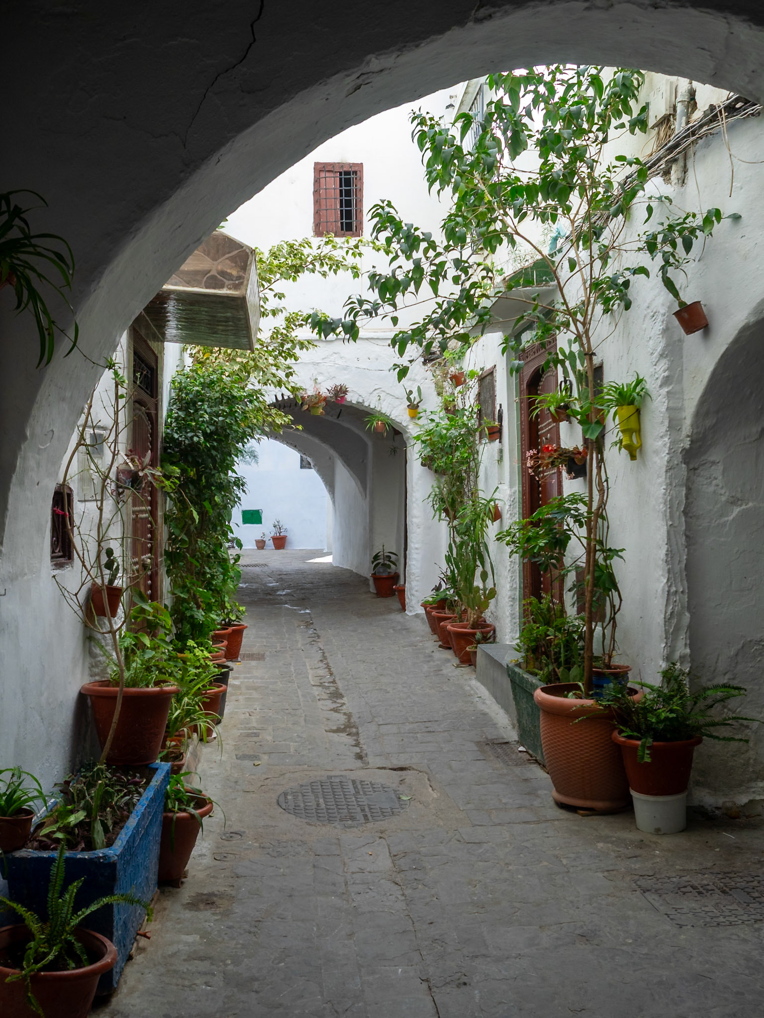 Tetouan medina street
