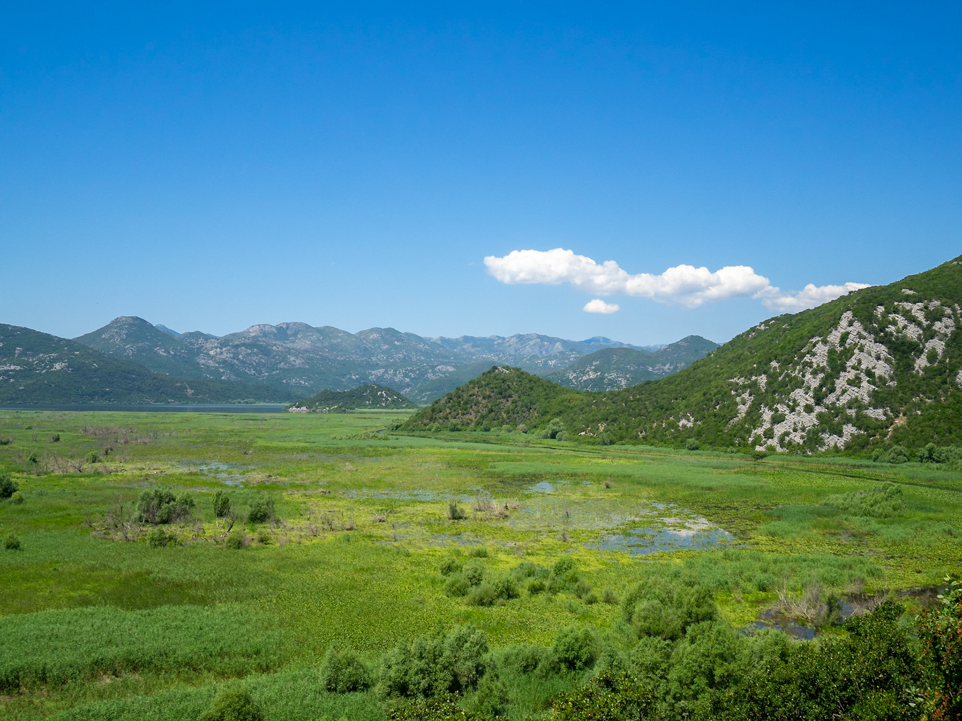 Lake Skadar seen from Kom Monastery islet, Montenegro