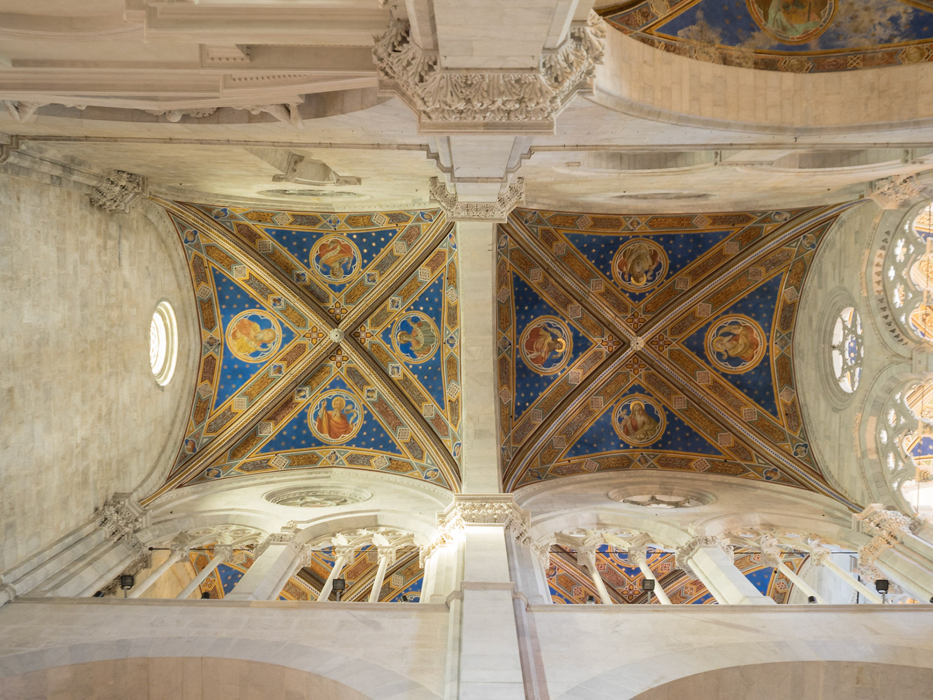 Duomo di Lucca ceiling