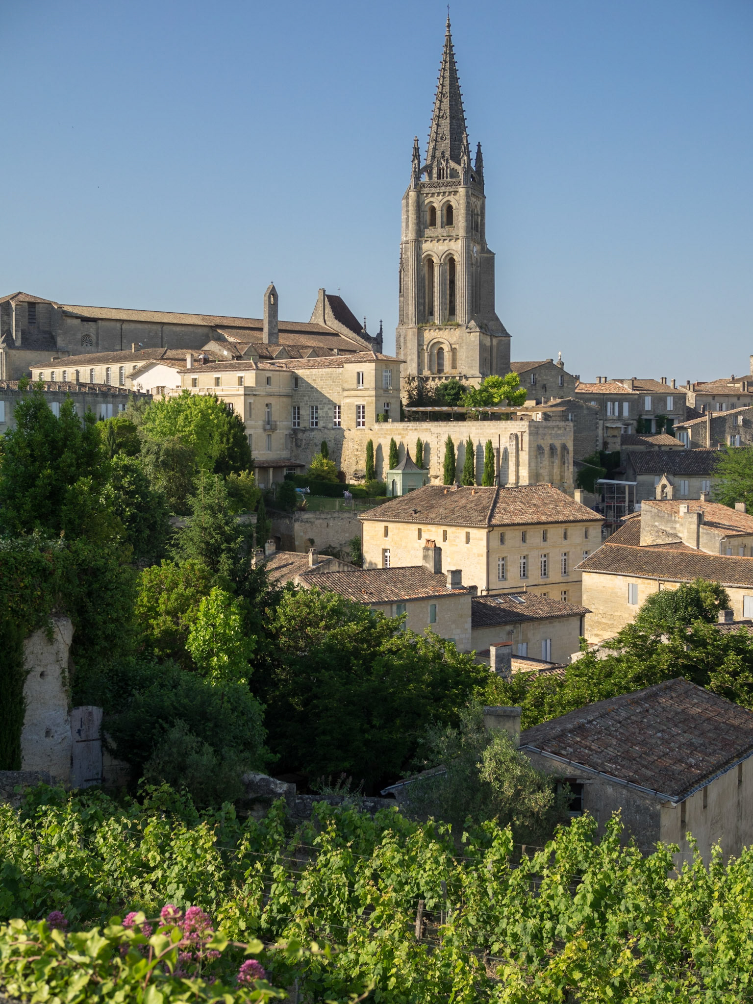Saint Emilion general view with vineyard