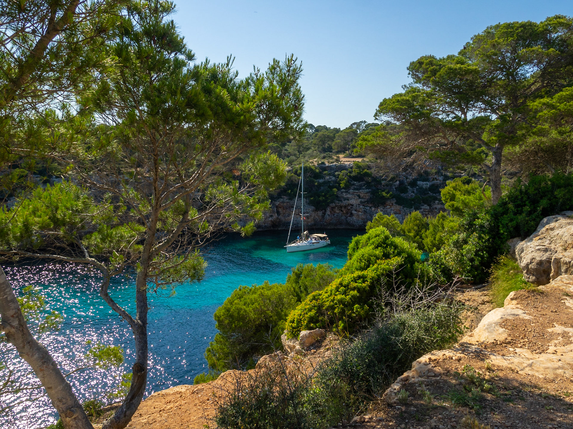 A sailboat seen beteen the pine trees at Cala Pi, Maiorca