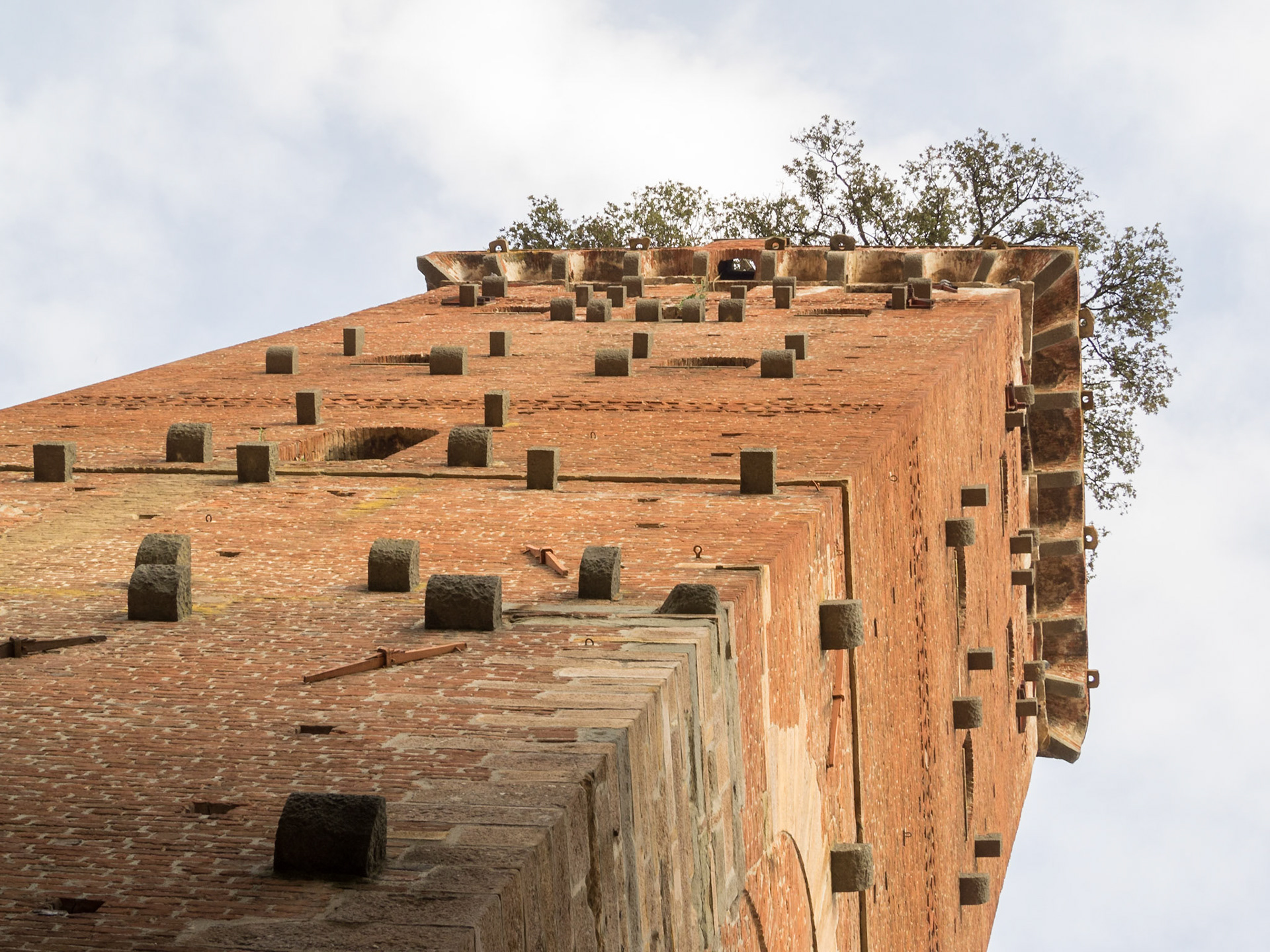 Looking up at Guinigi Tower