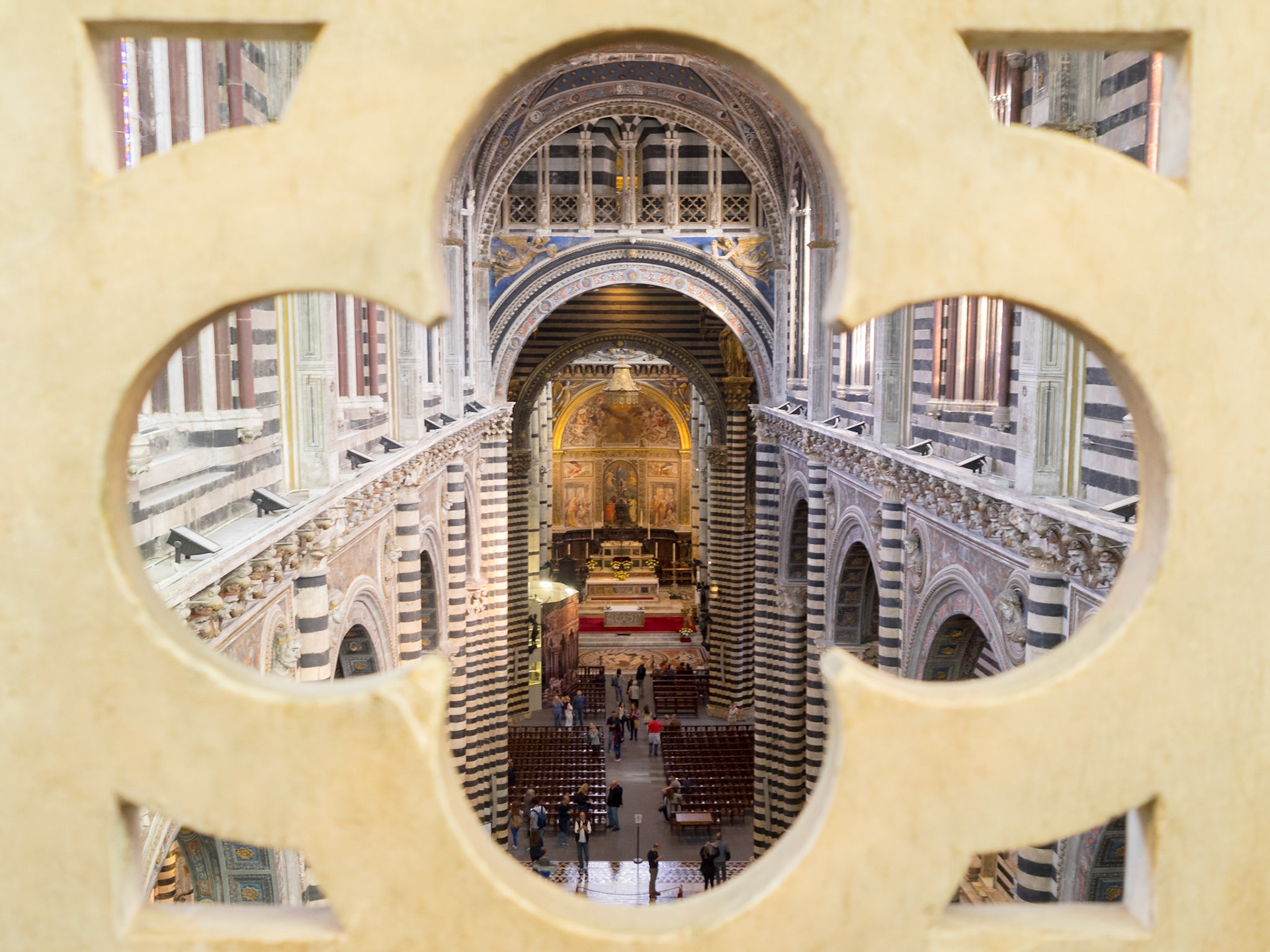 Siena Duomo interior view from a top balcony frame