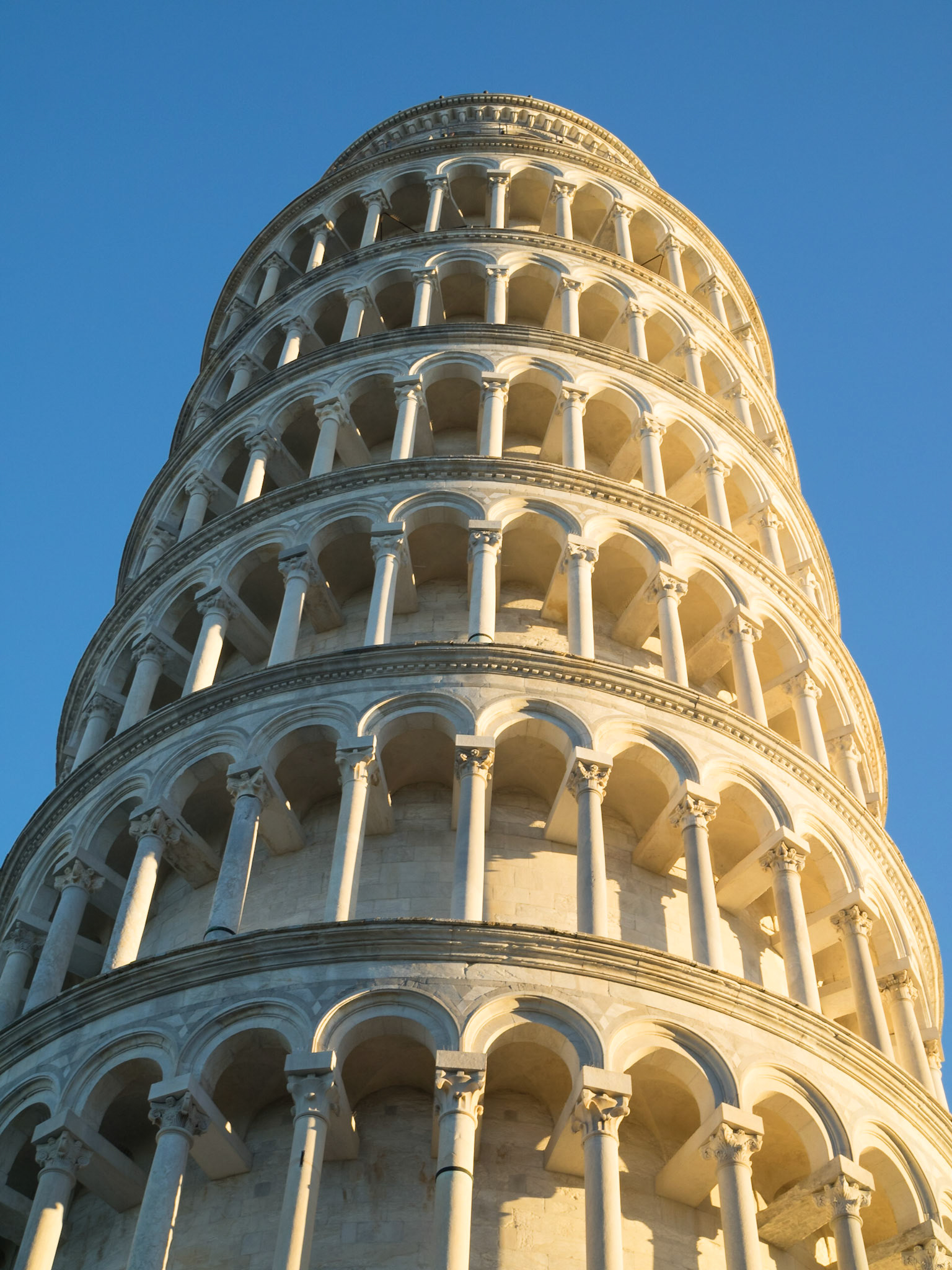 Pisa Tower in the sunset light