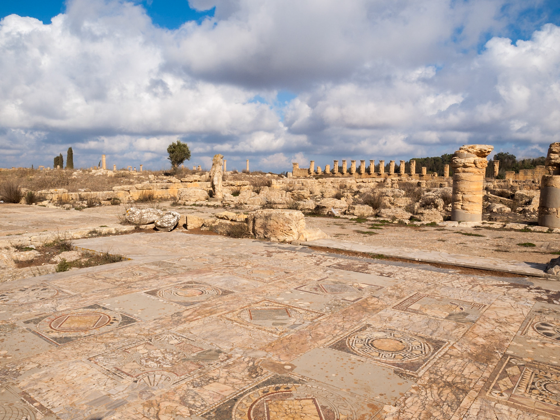 Geometric Stone Mosaic in the house of Jason Magnus in Cyrene