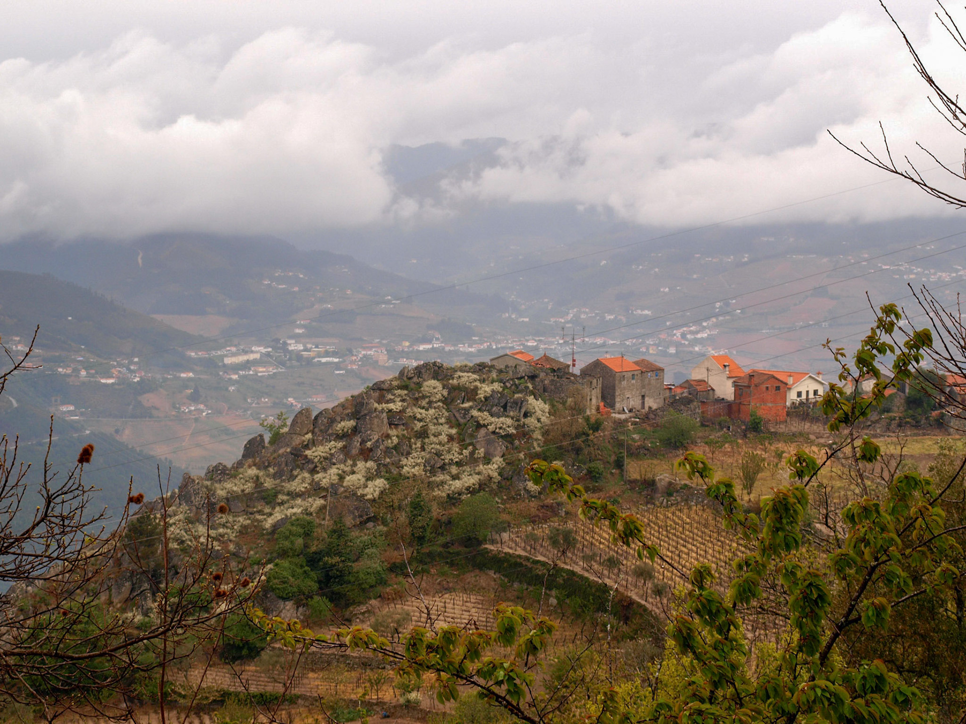 Douro valley landscape