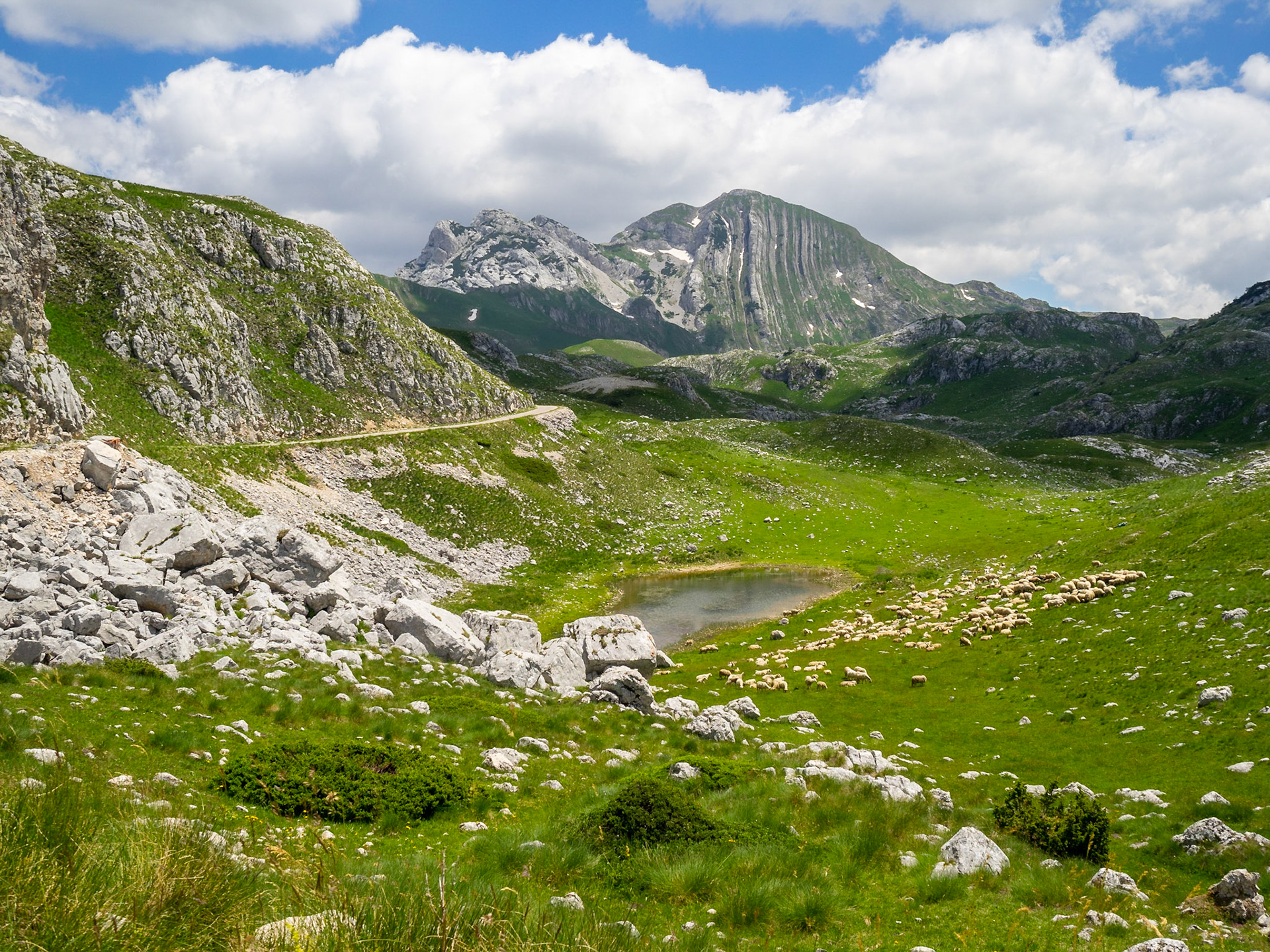 Prutas Peak in spring, Durmitor National Park