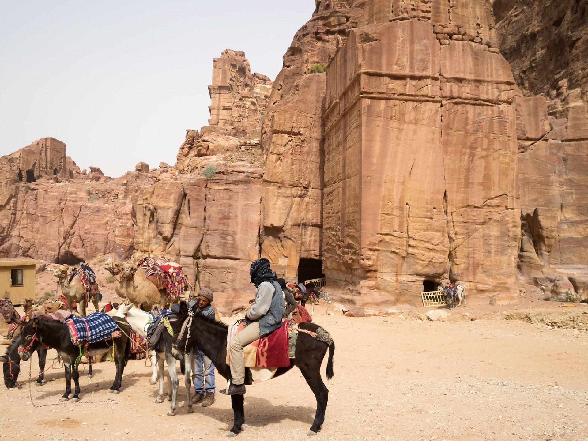 Donkeys waiting for tourists in front of Petra tombs