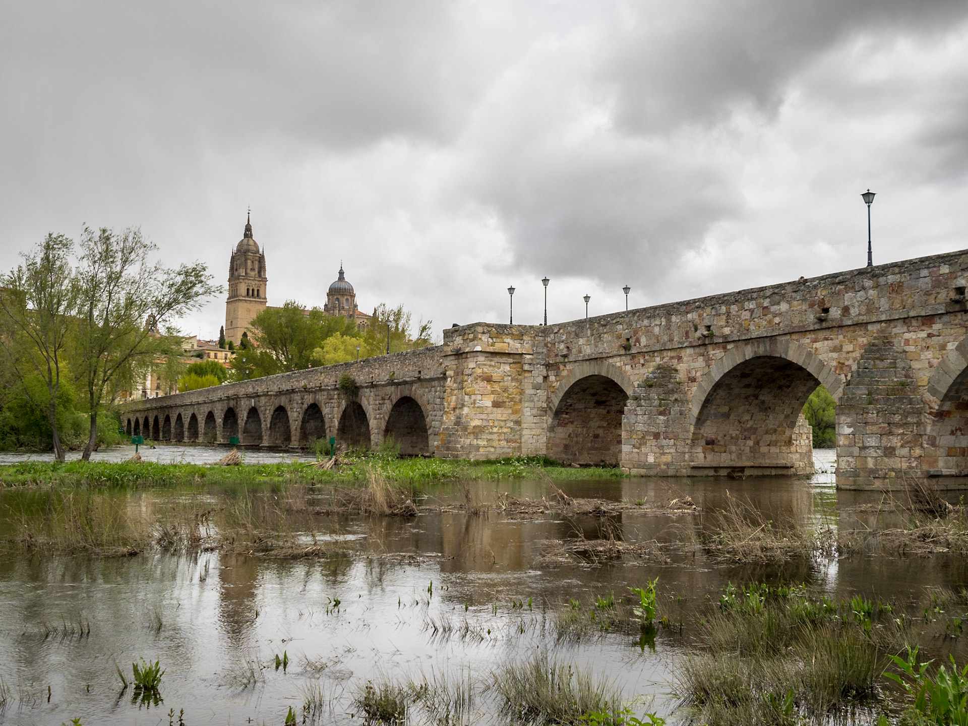Salamanca Roman Bridge over Tornes River with the city skyline in background