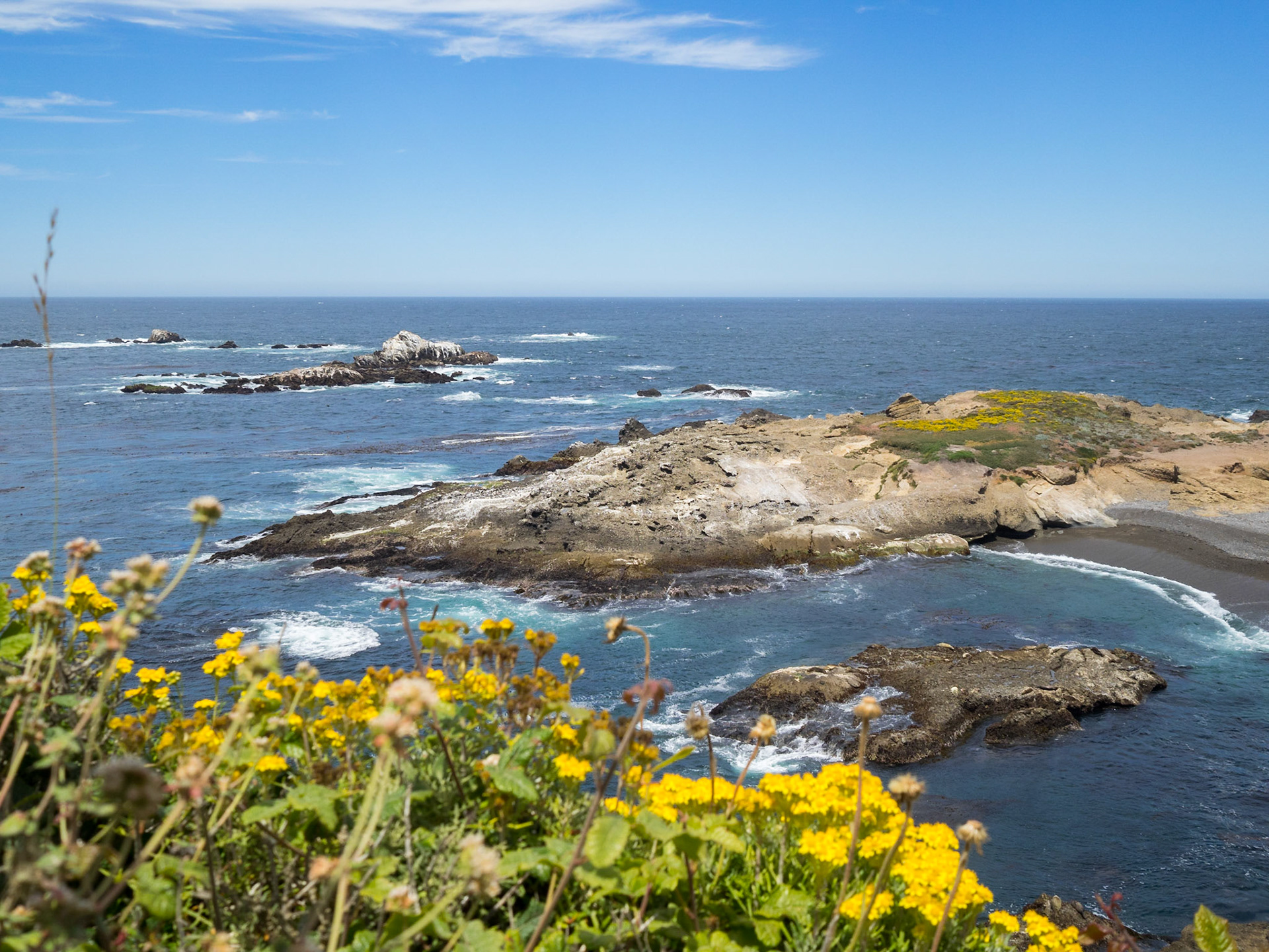 Point Lobos State Nature Reserve