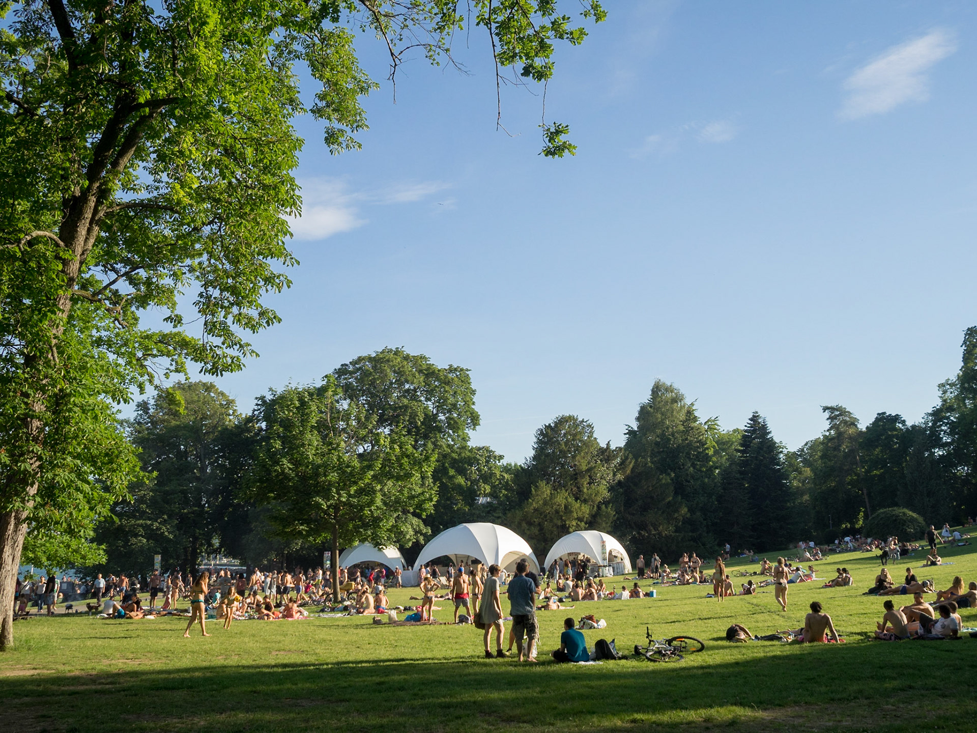 Summer park party in Geneva