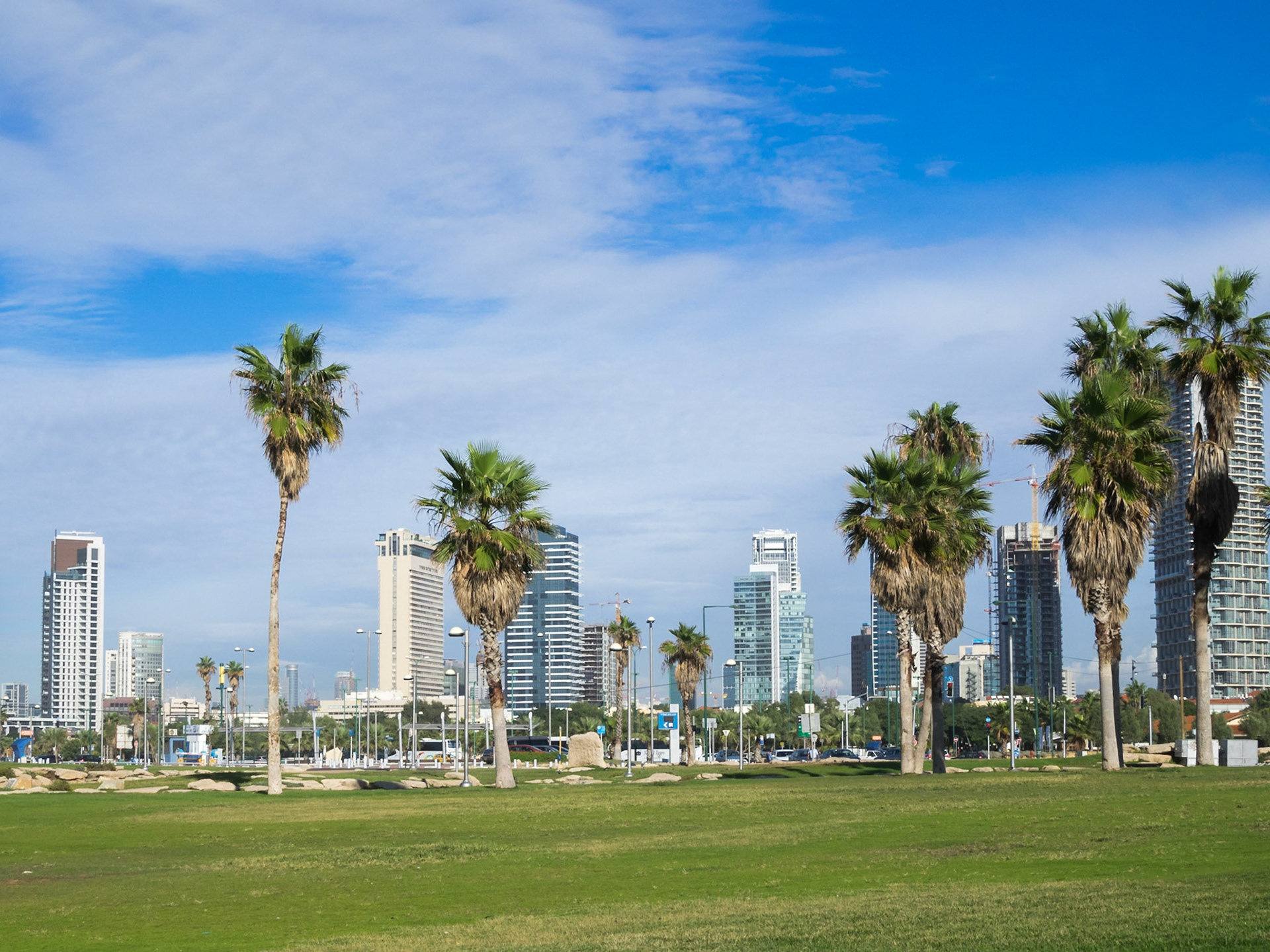 Downtown Tel Aviv towers and palm trees