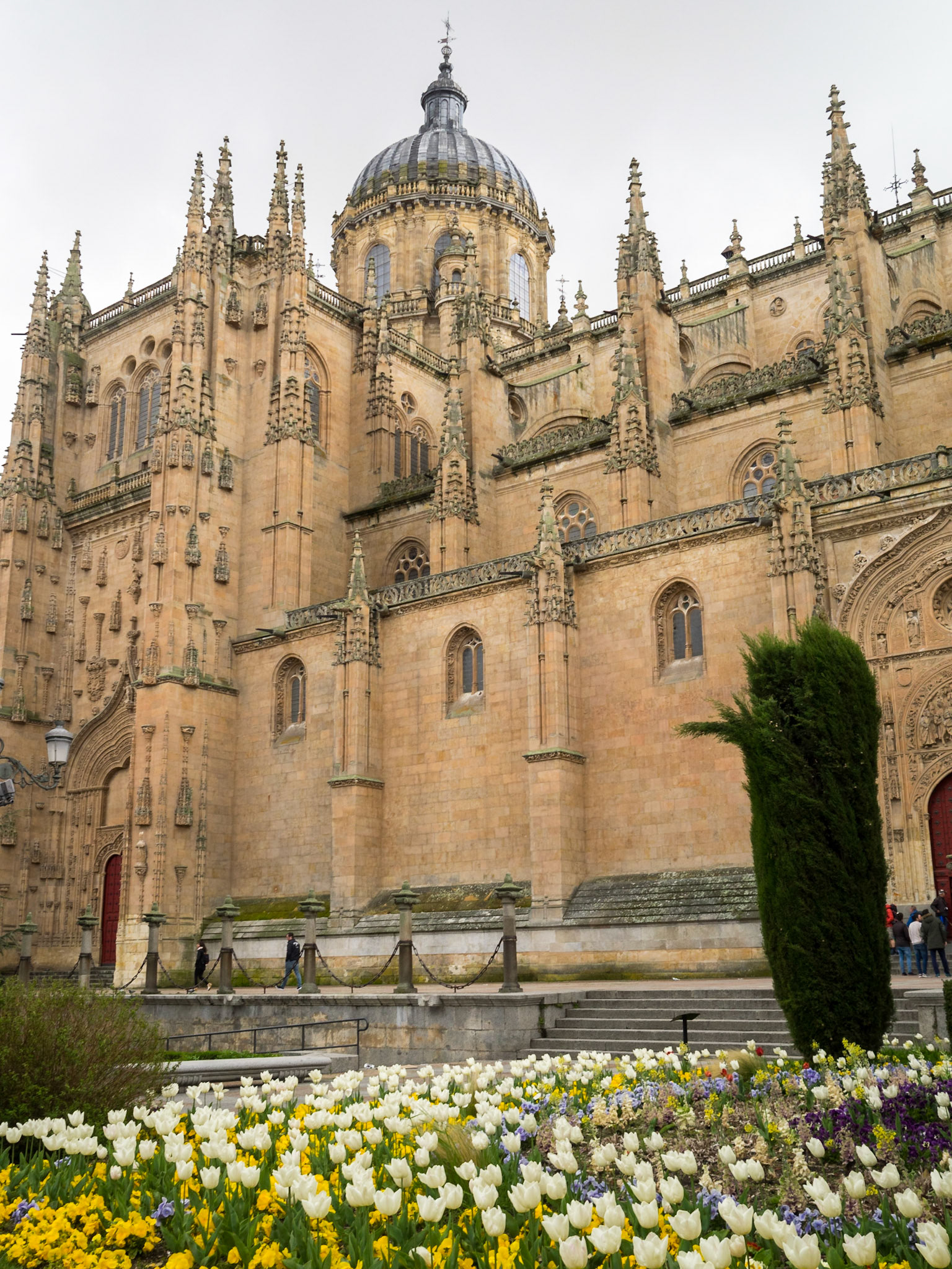 Salamanca Cathedral