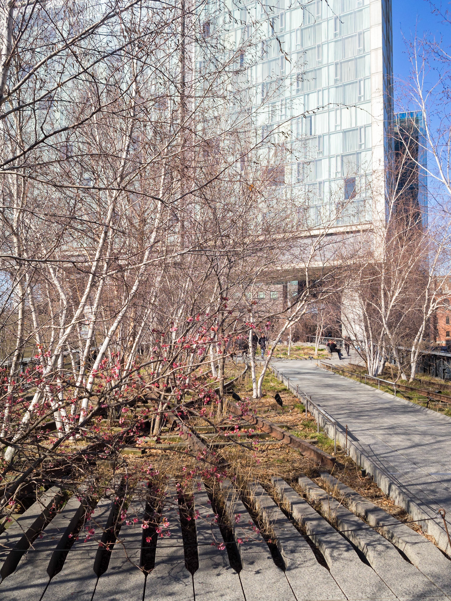 High Line in a sunny winter day