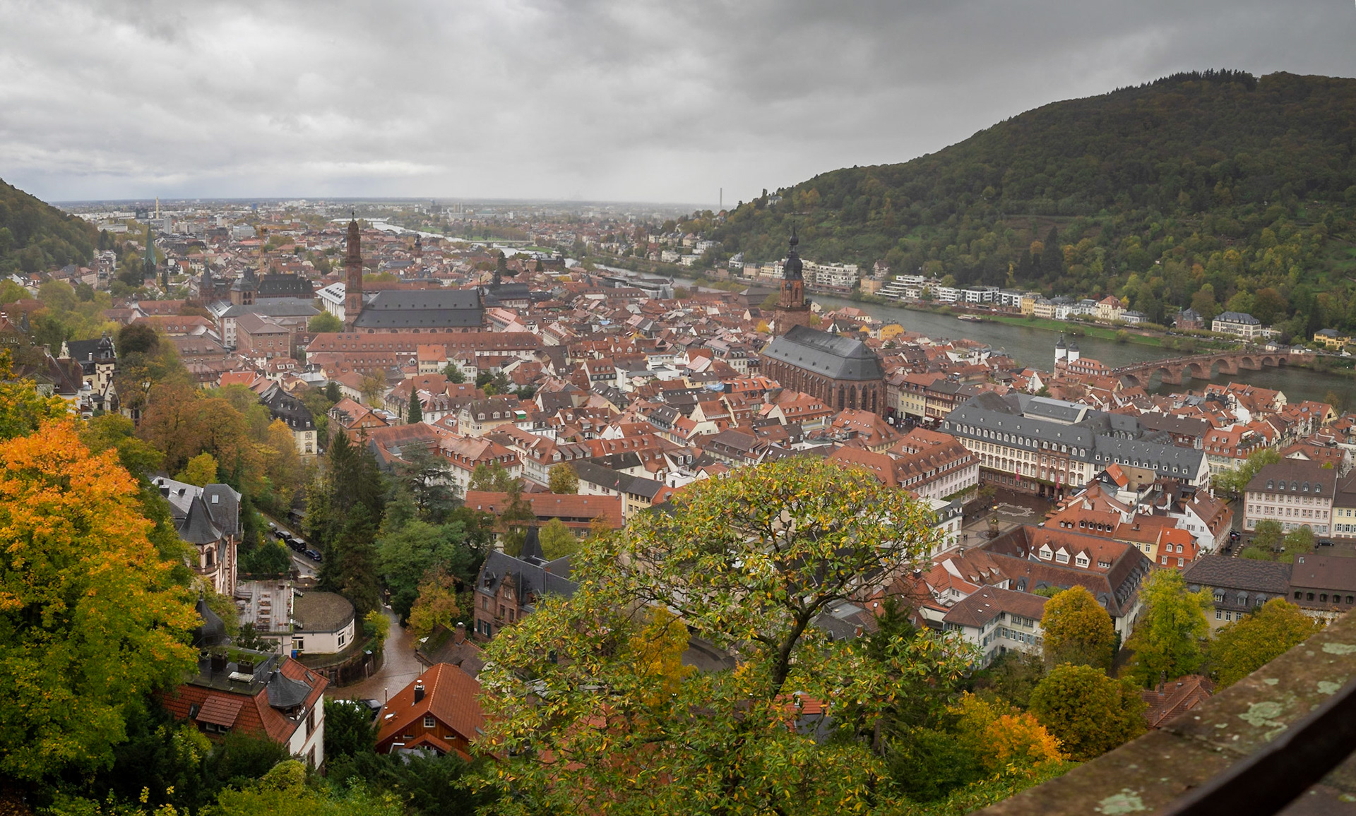 Heidelberg cityscape from the Castle grounds