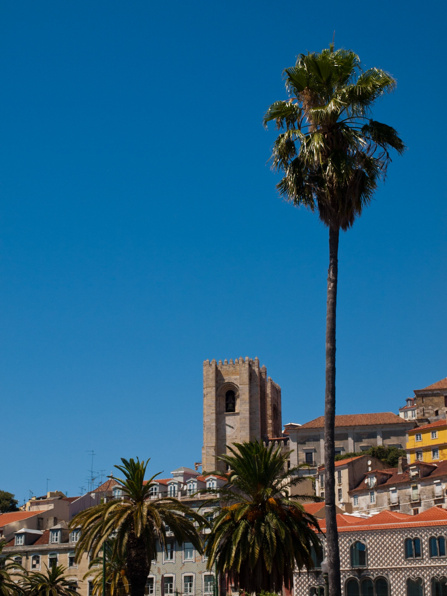 Lisbon Cathedral (Sé) towers and palm trees