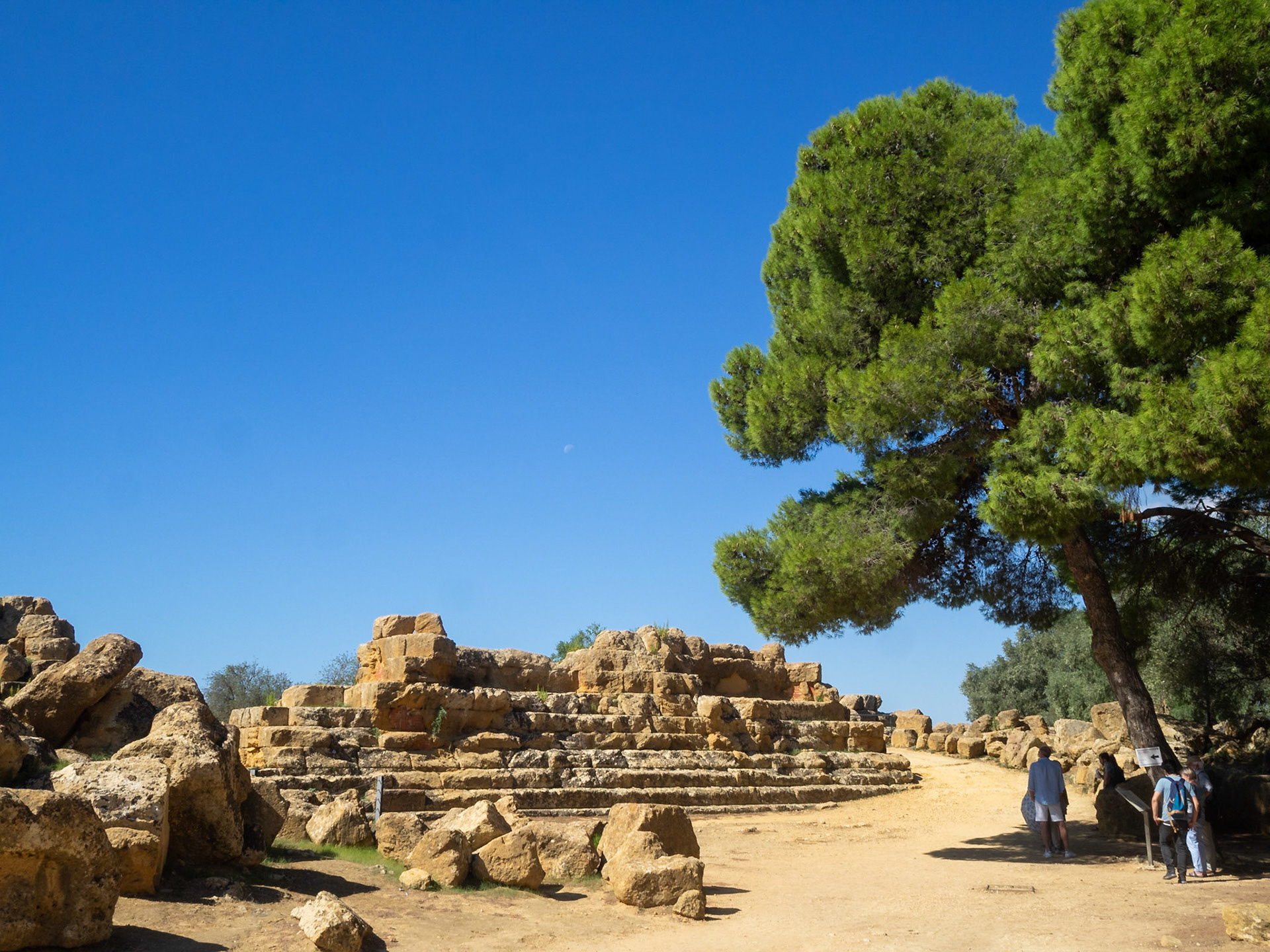 Tourists in the shadow of a tree by the ruins of the Temple of Olympian Zeus in Valle dei Templi