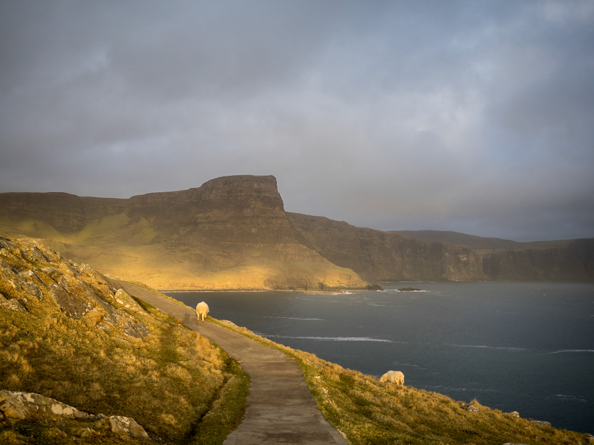 Sunset light in Neist Point cliffs