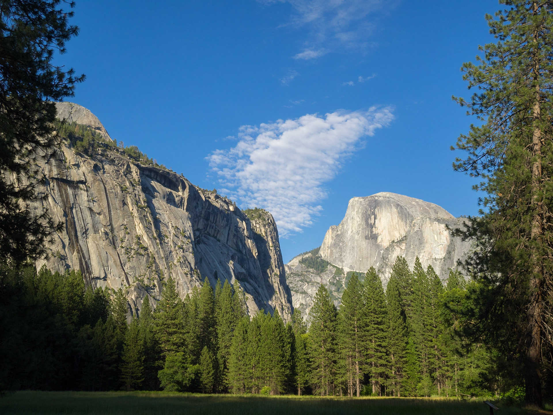 Half Dome seen from Yosemite Valley