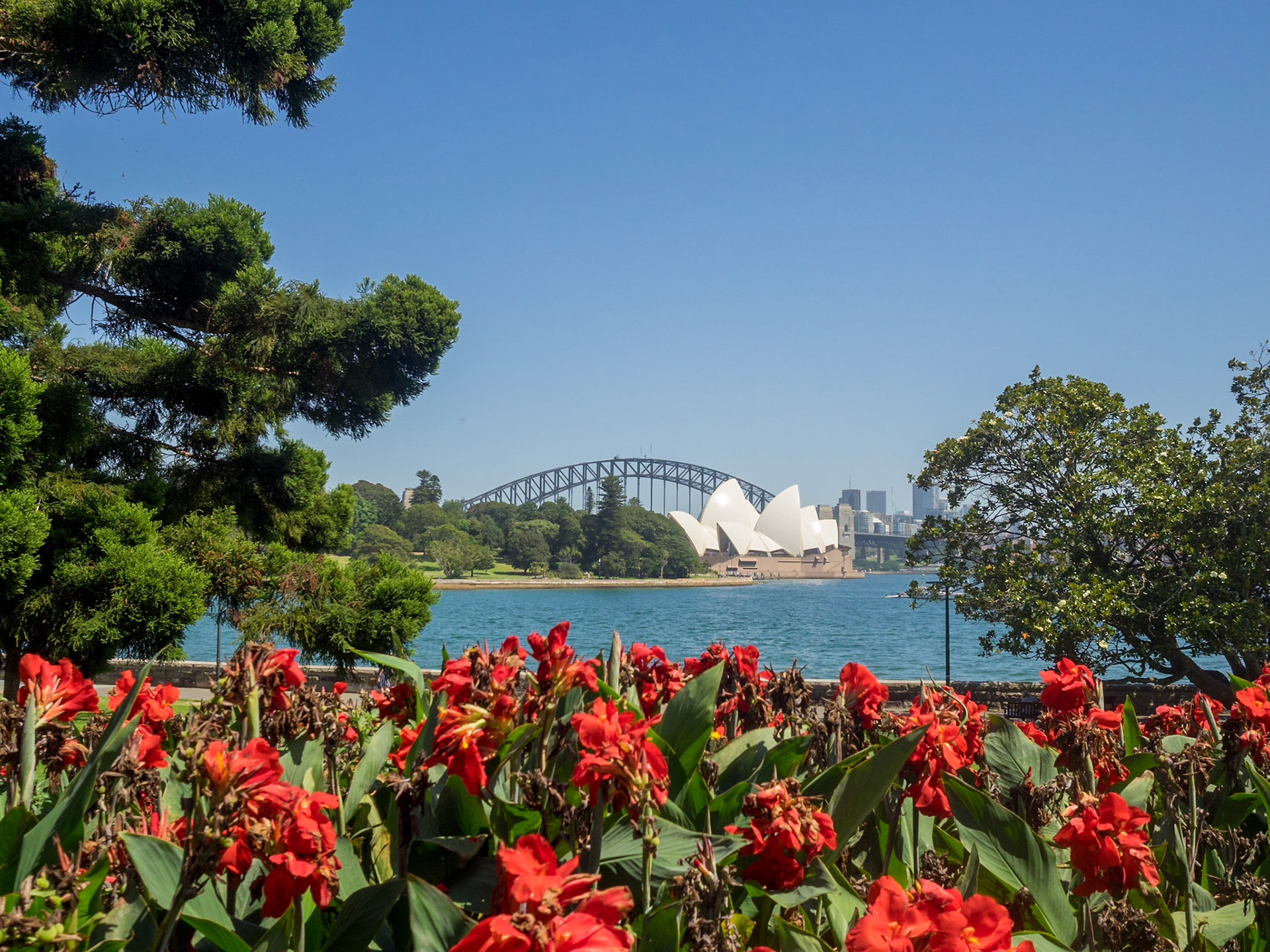 Sydney Opera House and Harbour Bridge seen from the Royal Botanic Gardens