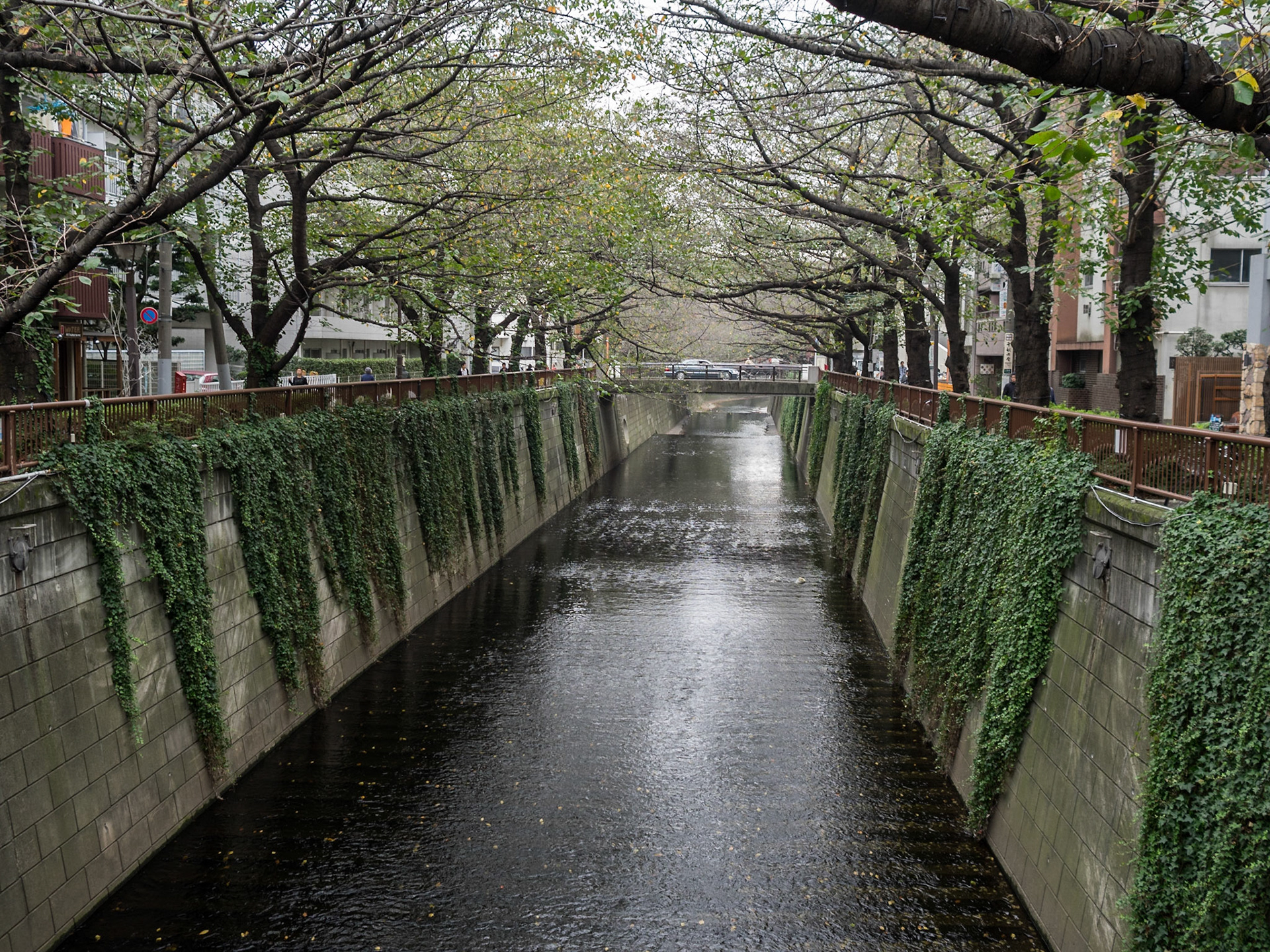 Nakameguro canal Tokyo trees autumn