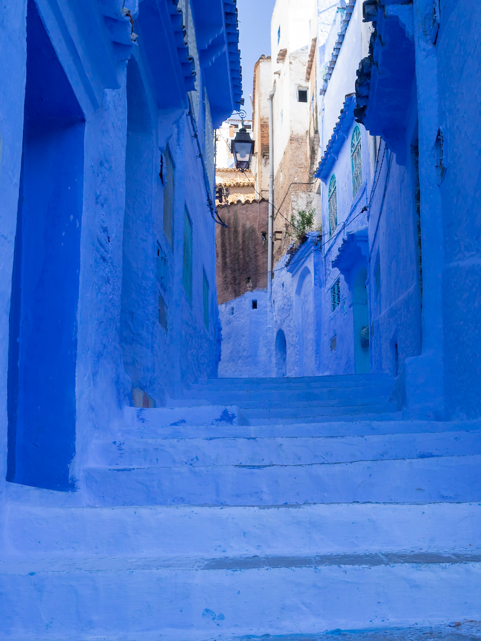 Indidigo blue staircase in Chefchaouen, Morocco