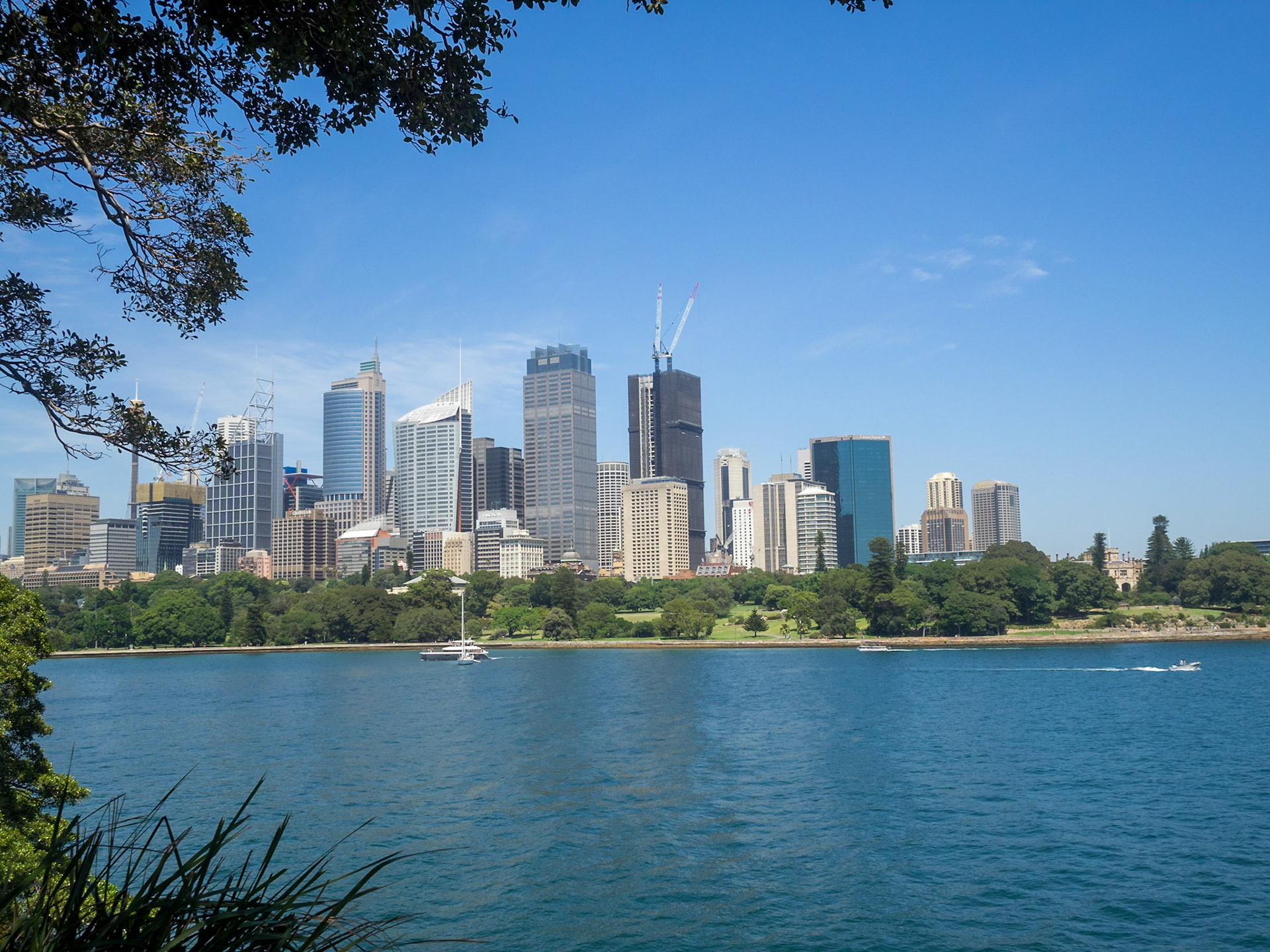 Sydney CBD skyscrapers
