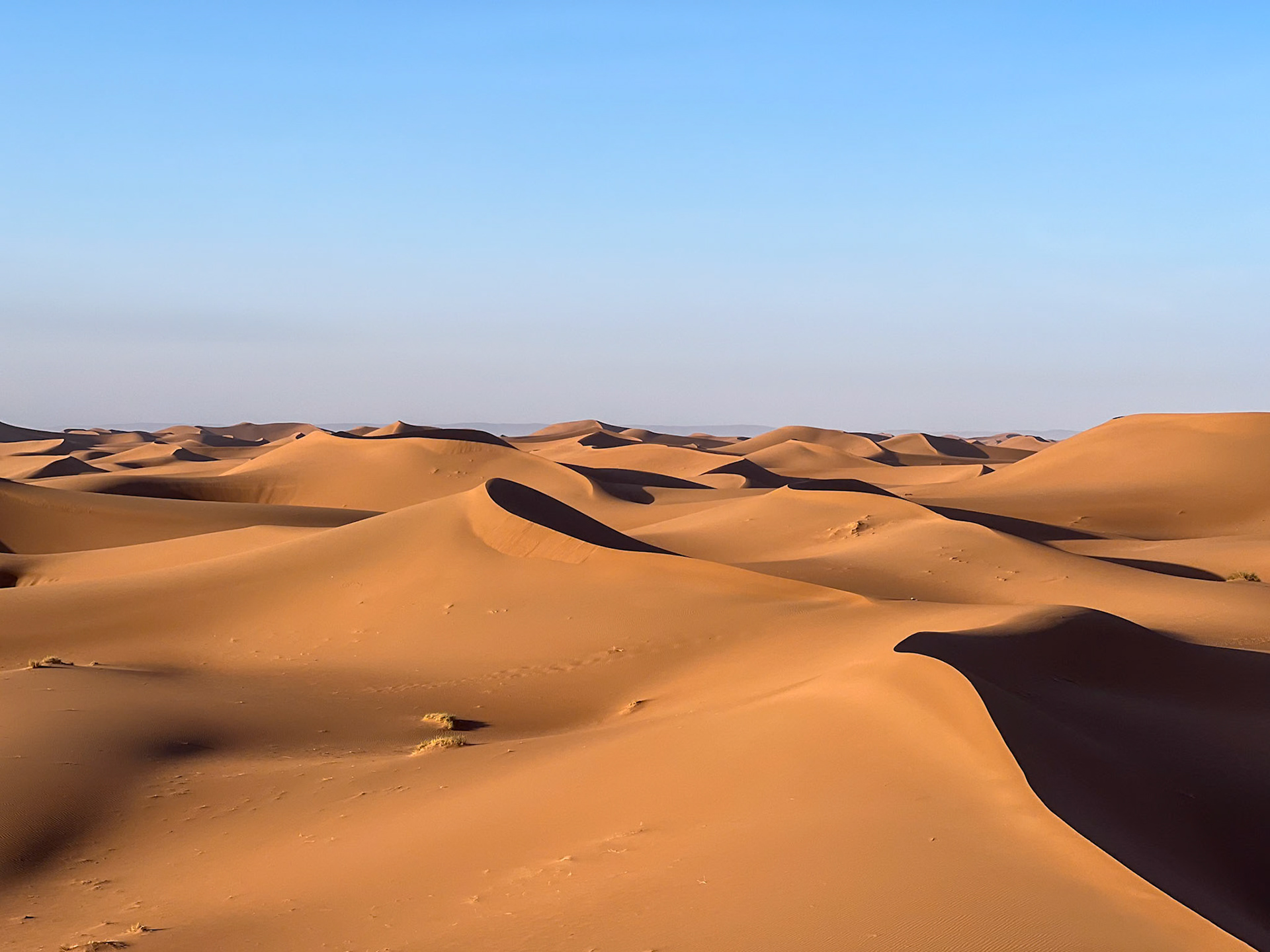 Sea of sand dunes, Erg Chegaga, Morocco