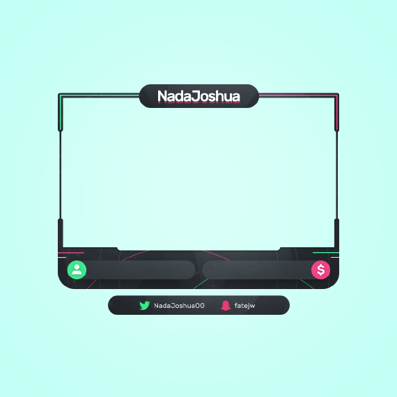 Webcam Overlay