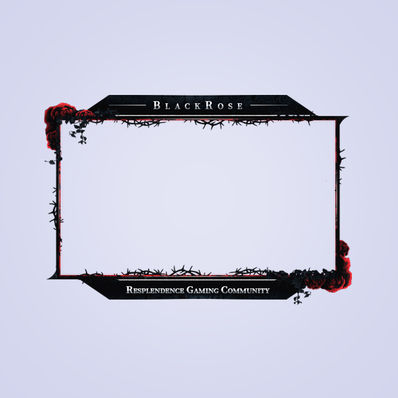 Webcam Overlay