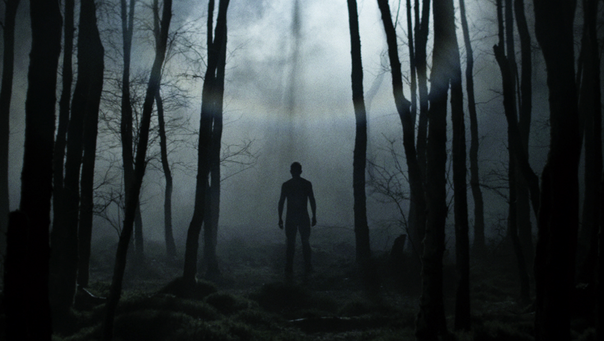 Туман хоррор. Темный лес the Woods 2005. Человек в темном лесу. Человек в мрачном лесу.