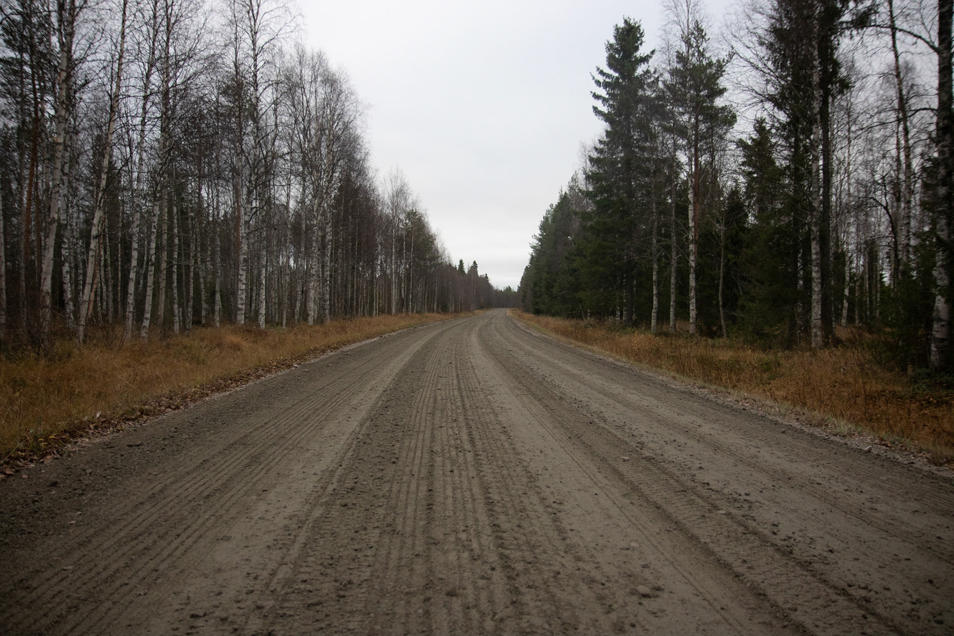 Piste finlandaise
