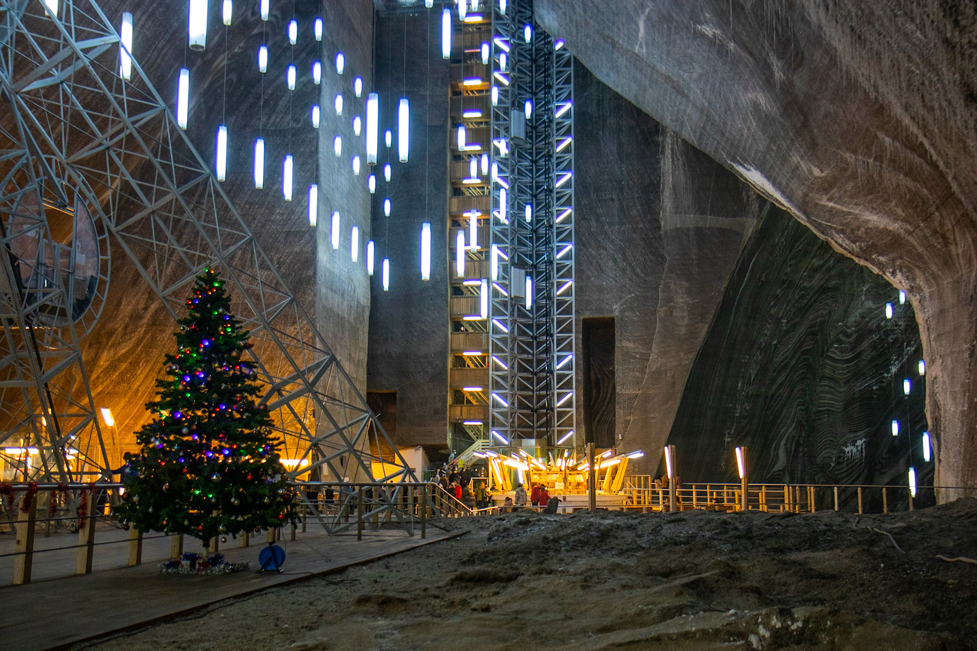 Le sapin souterrain
