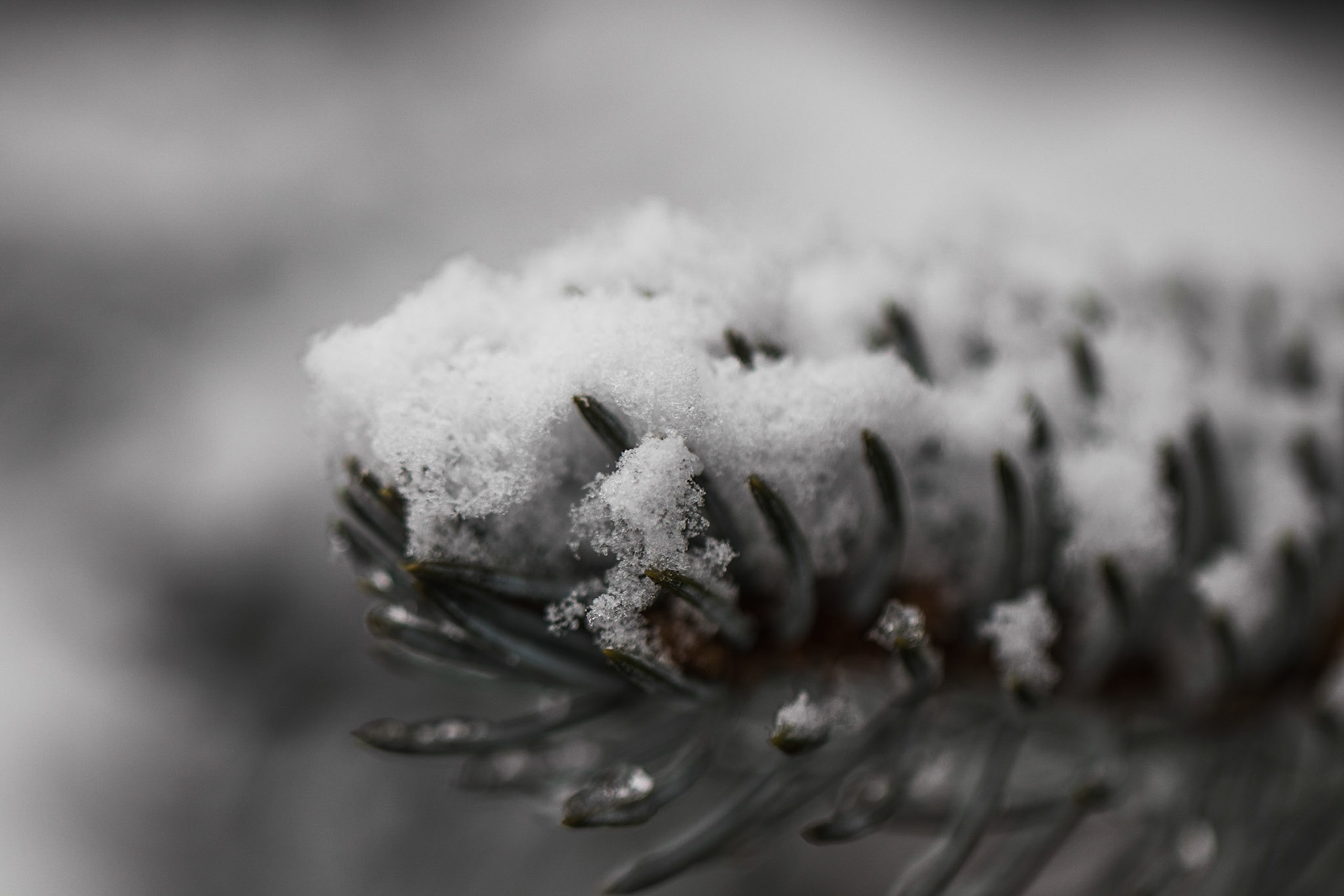 Hiver