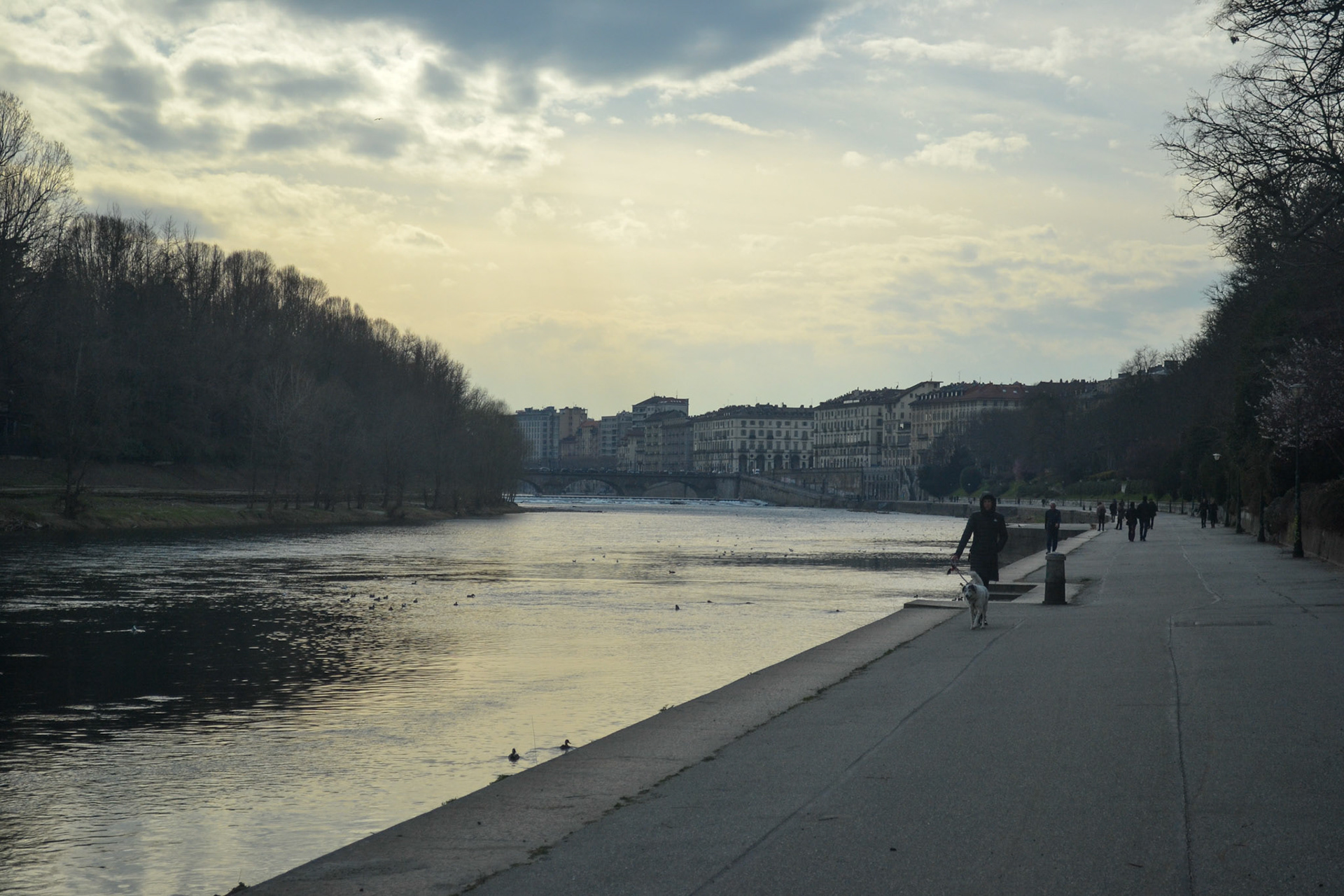 promenade paisible à Turin
