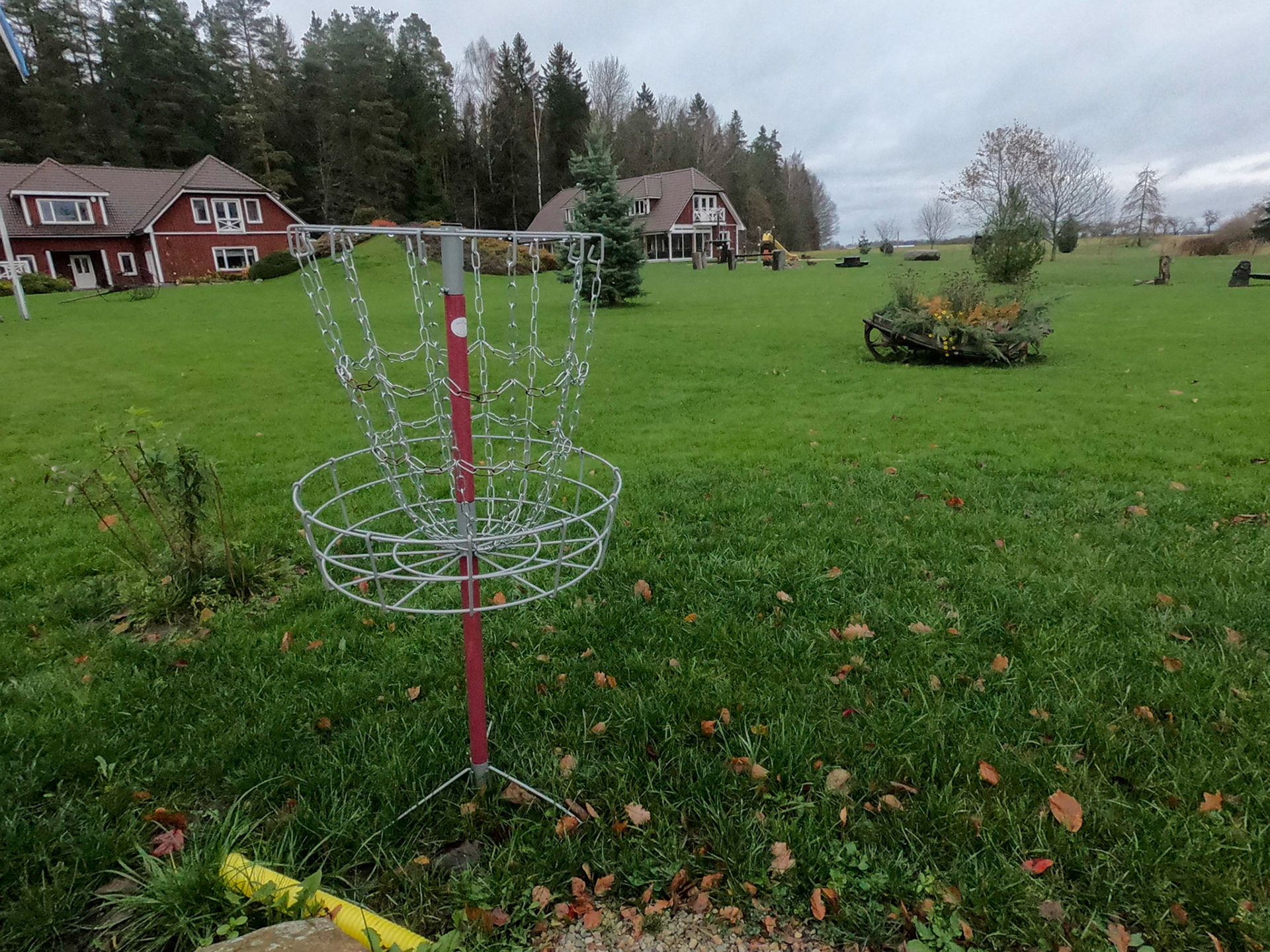Le freesbee golf, une passion commune partagée avec la Finlande