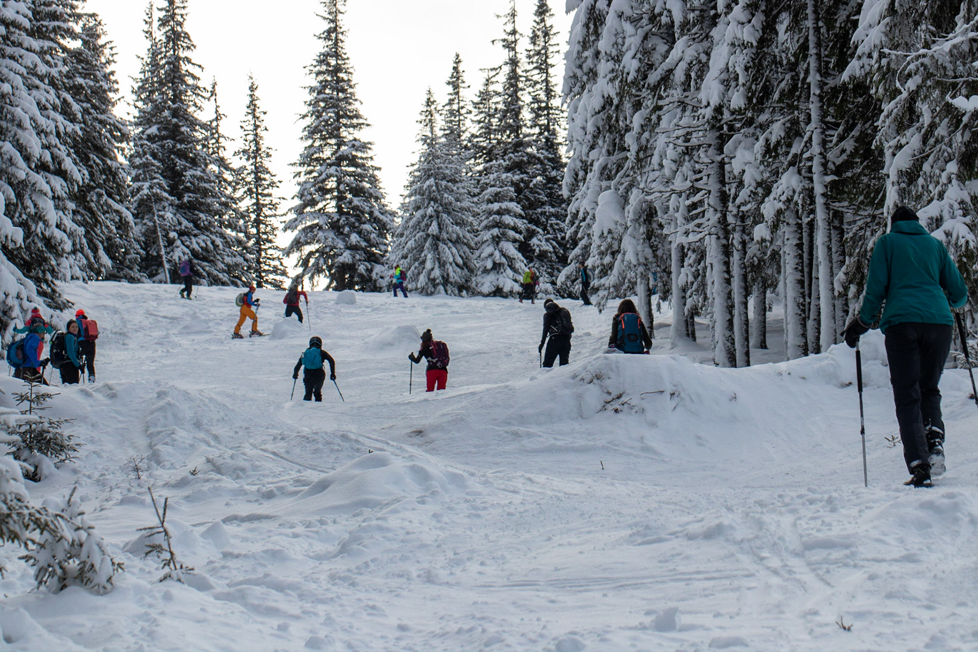 Balade sous la neige
