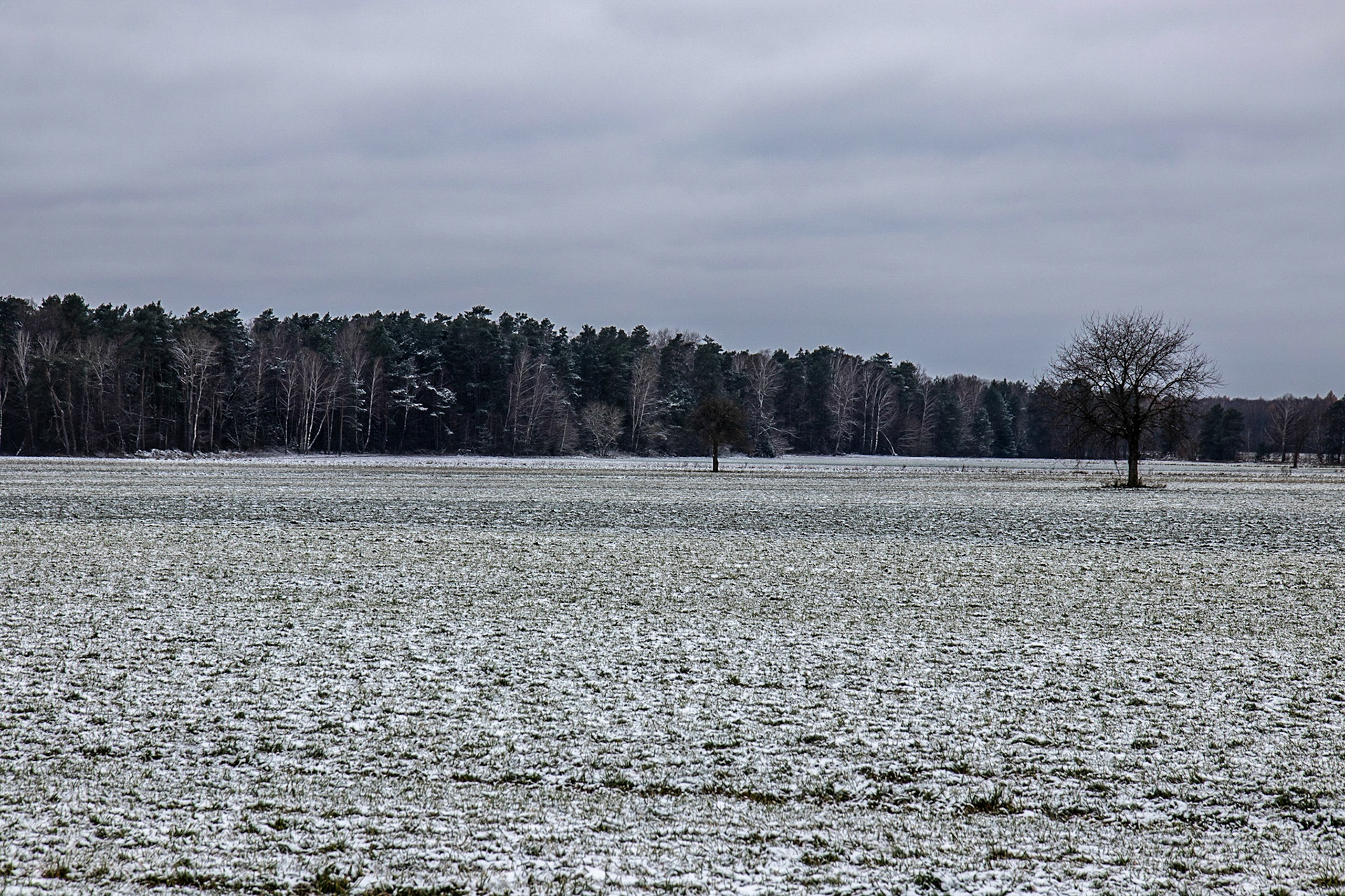 Une touche de neige pour ne pas avoir trop chaud