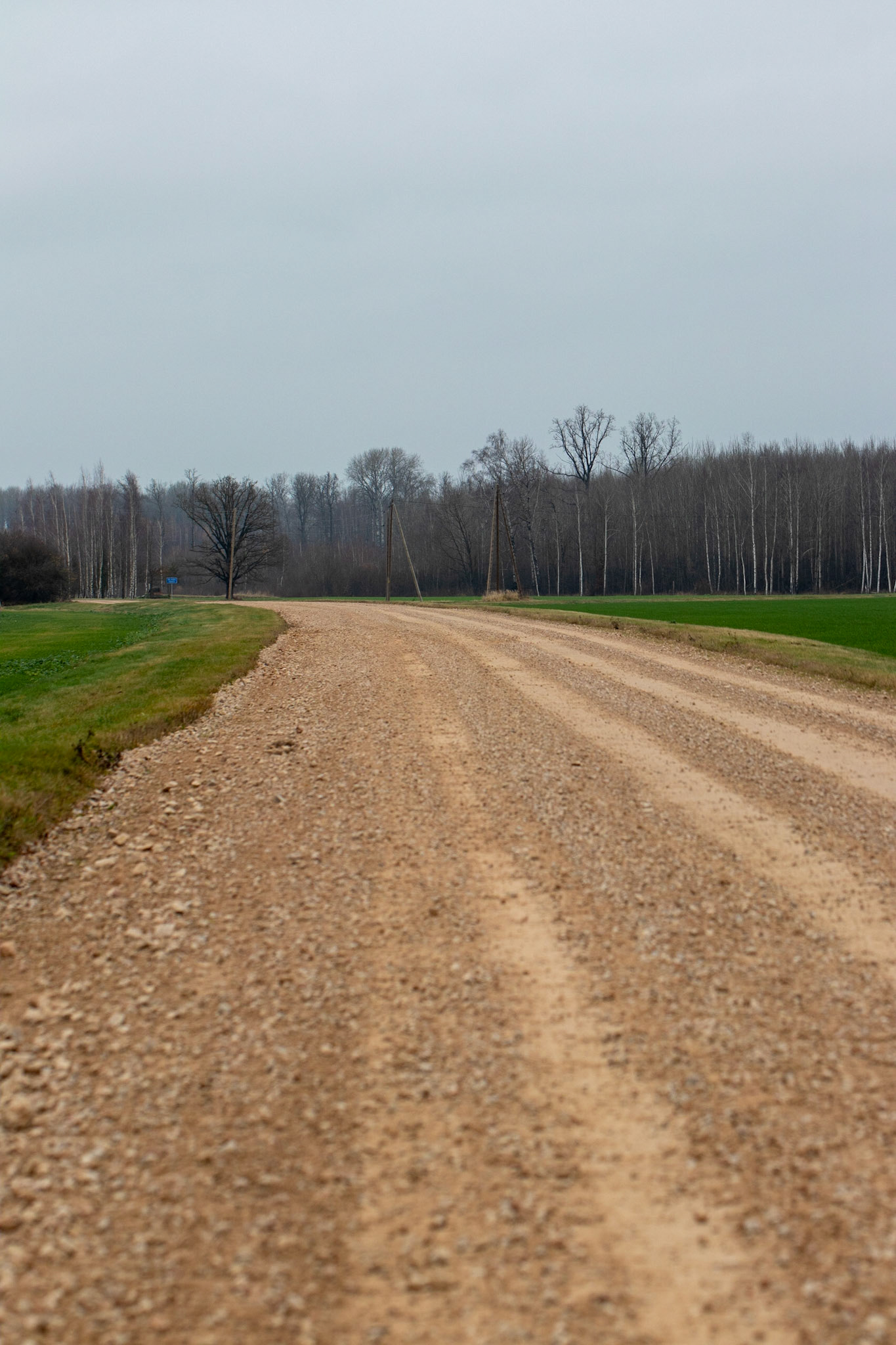 Route départementale