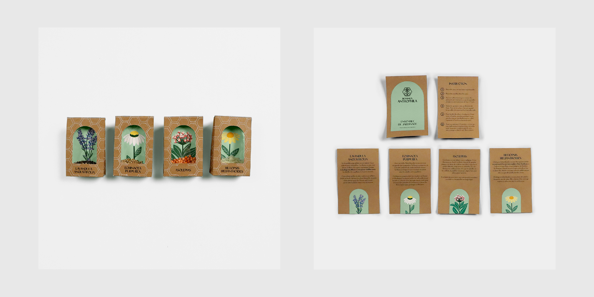 Sachet de semence et instructions