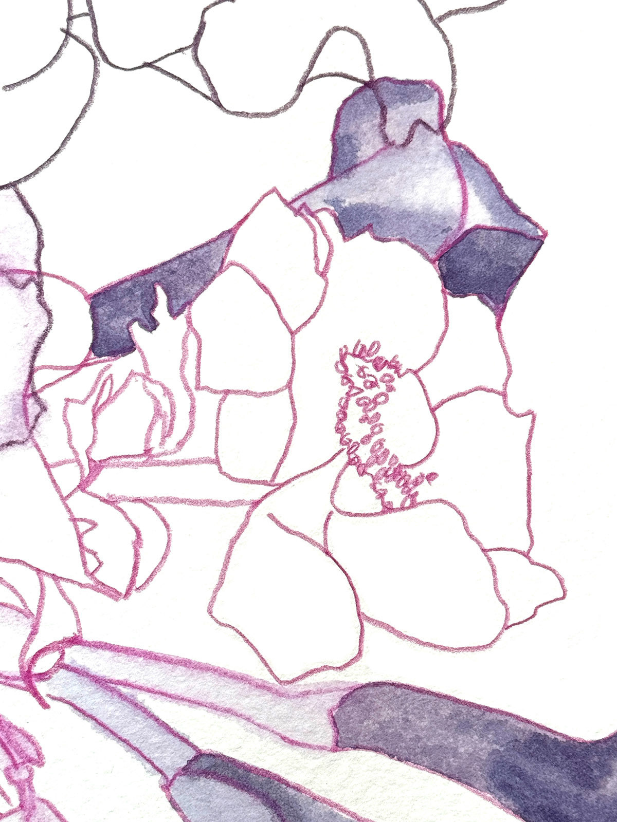 Arrangement 1 (detail)  |  2023  |  Watercolor and watercolor pencil  |  14.75 x 14.75"